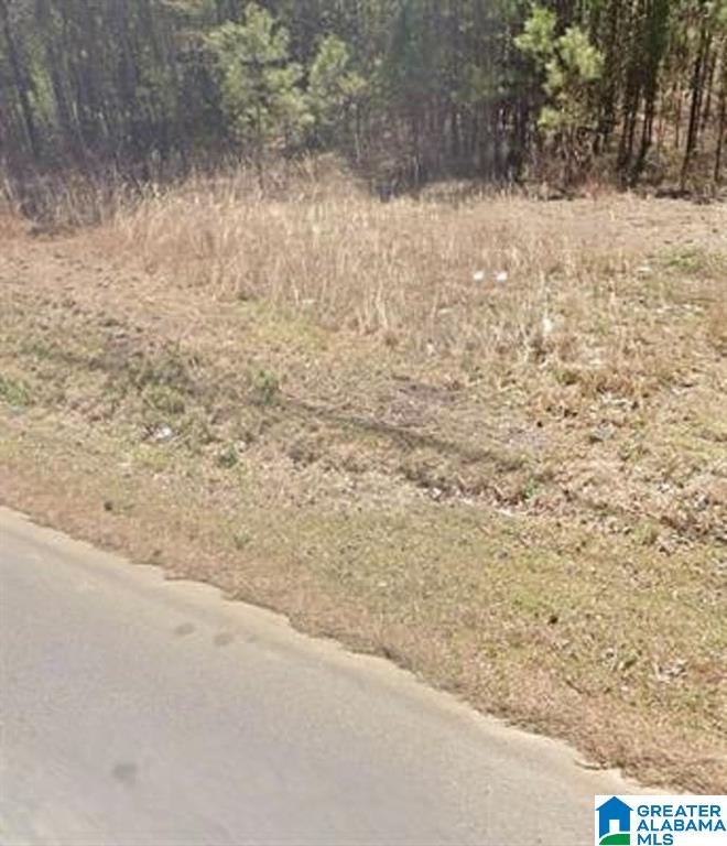 Homes for sale in Jacksonville, AL | 0 Henry Road Sw, Jacksonville, AL 36265 | MLS# 21415702