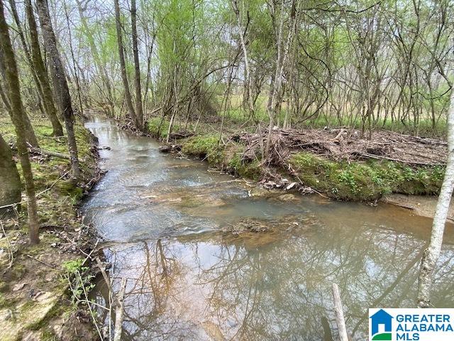 Homes for sale in Pell City, AL | N Wolf Creek Road, Pell City, AL 35125 | MLS# 21415908