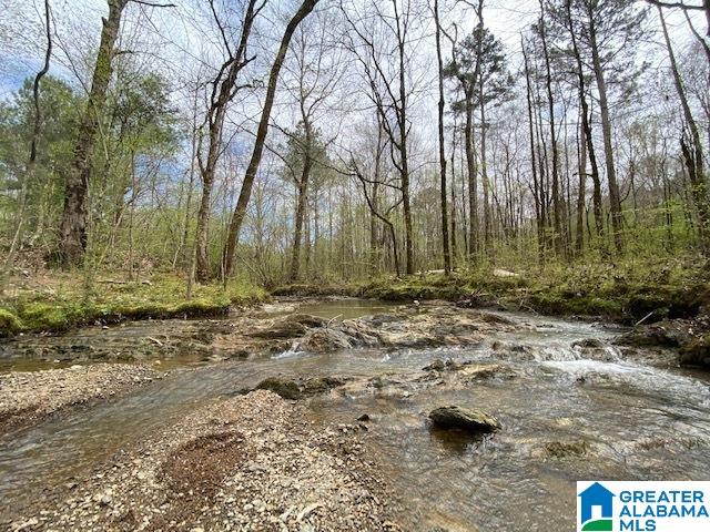 Homes for sale in Pell City, AL | N Wolf Creek Road, Pell City, AL 35125 | MLS# 21415908