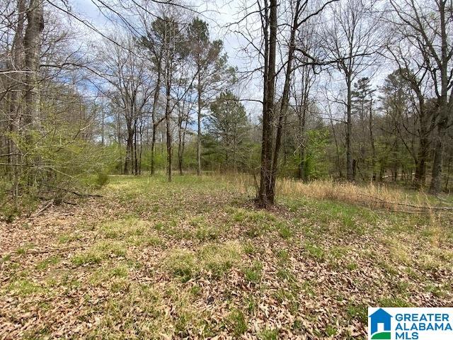 Homes for sale in Pell City, AL | N Wolf Creek Road, Pell City, AL 35125 | MLS# 21415908