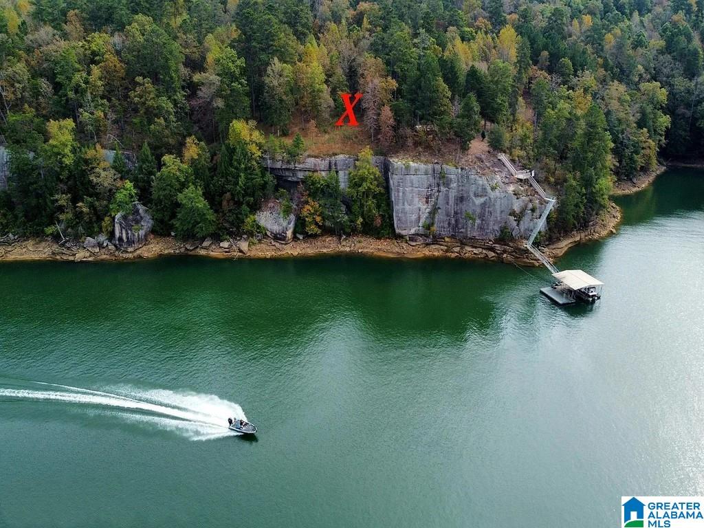 Lot 115-117 SIPSEY OVERLOOK DRIVE