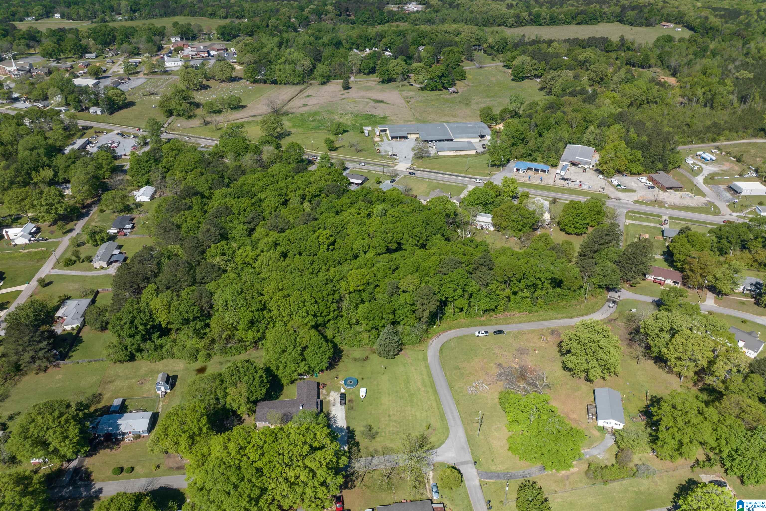 Homes for sale in Wilsonville, AL | Lot 1 Spearman Street, Wilsonville, AL 35186 | MLS# 21416184