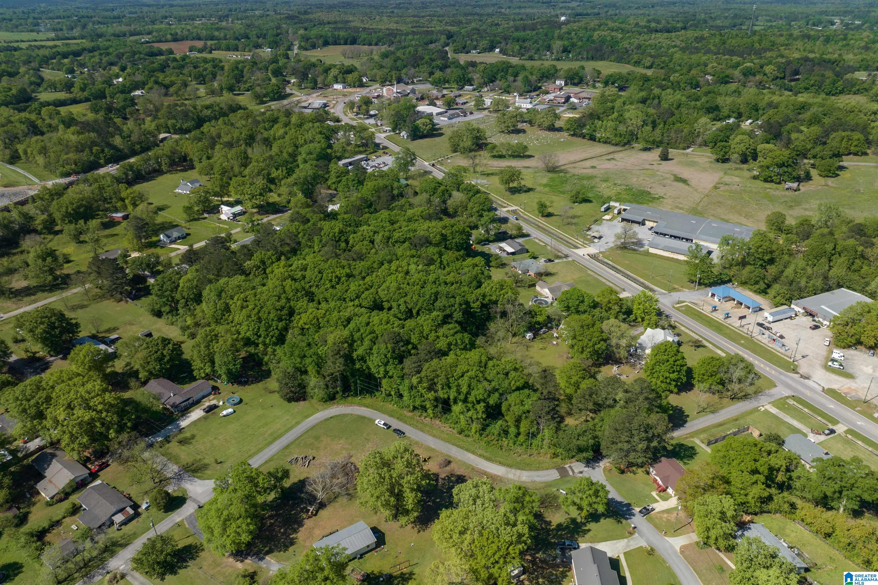 Homes for sale in Wilsonville, AL | Lot 1 Spearman Street, Wilsonville, AL 35186 | MLS# 21416184