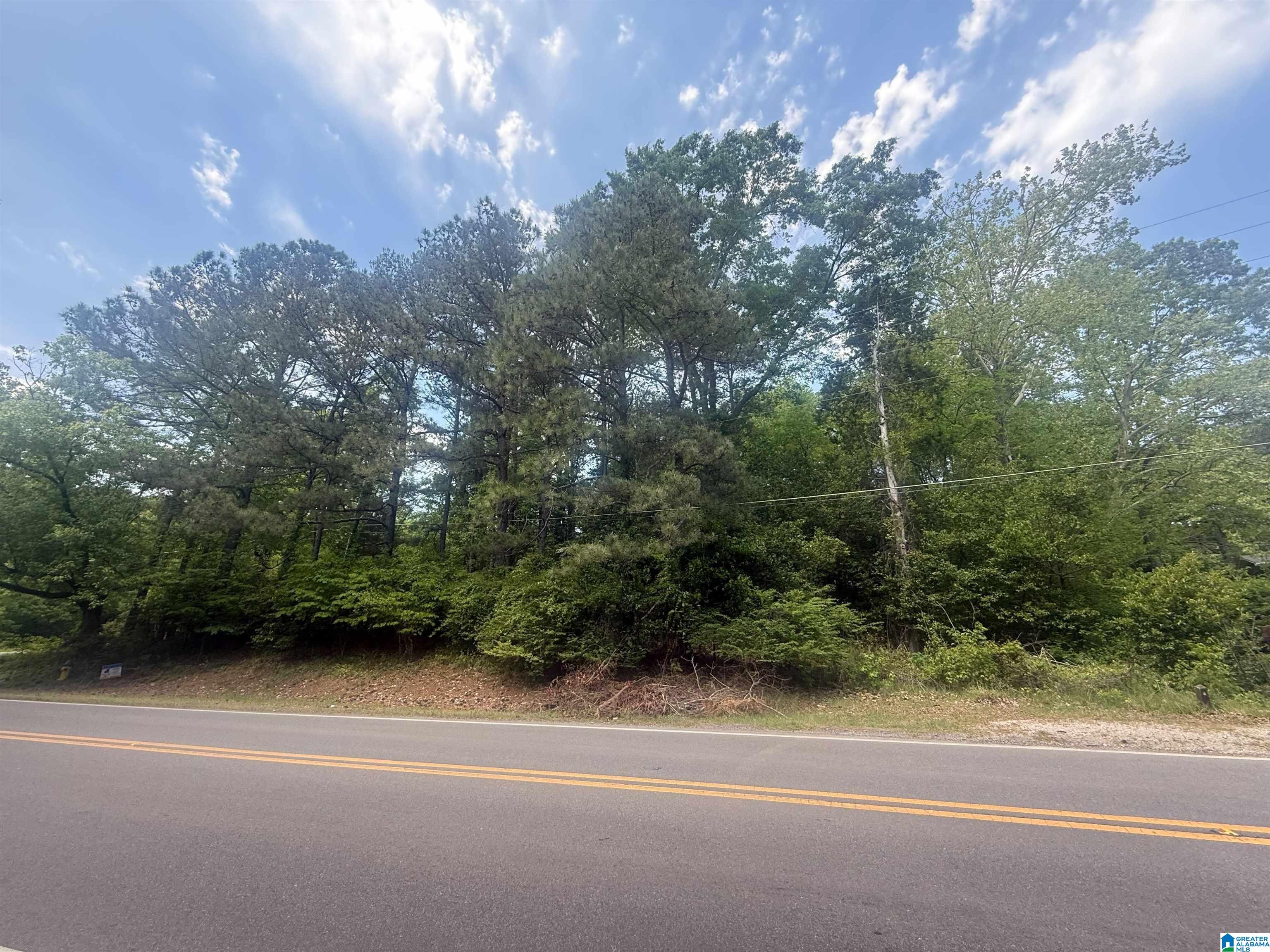 Homes for sale in Hoover, AL | 2310 Old Rocky Ridge Road, Hoover, AL 35216 | MLS# 21416238