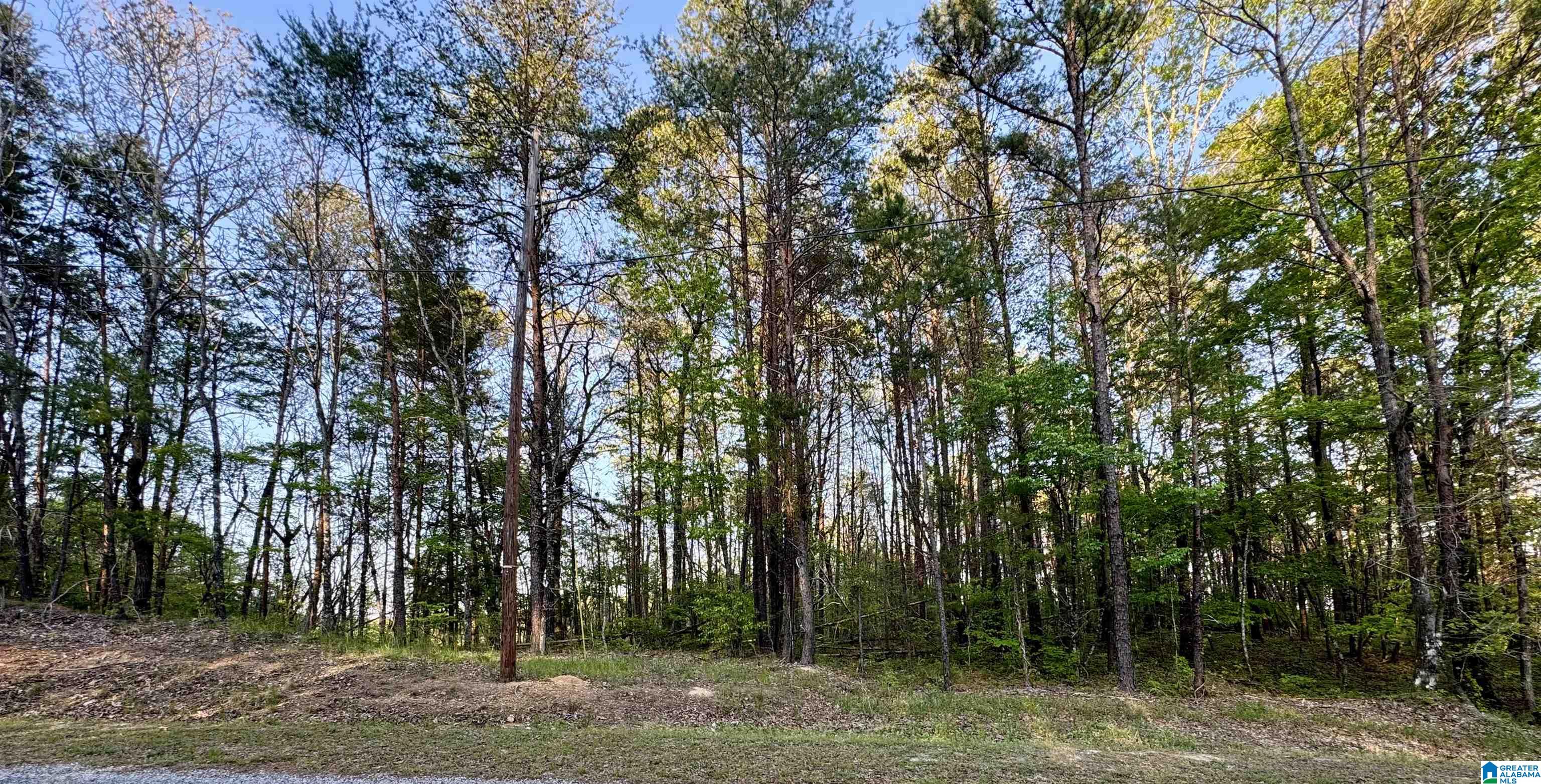 1485 HIAWATHA ROAD