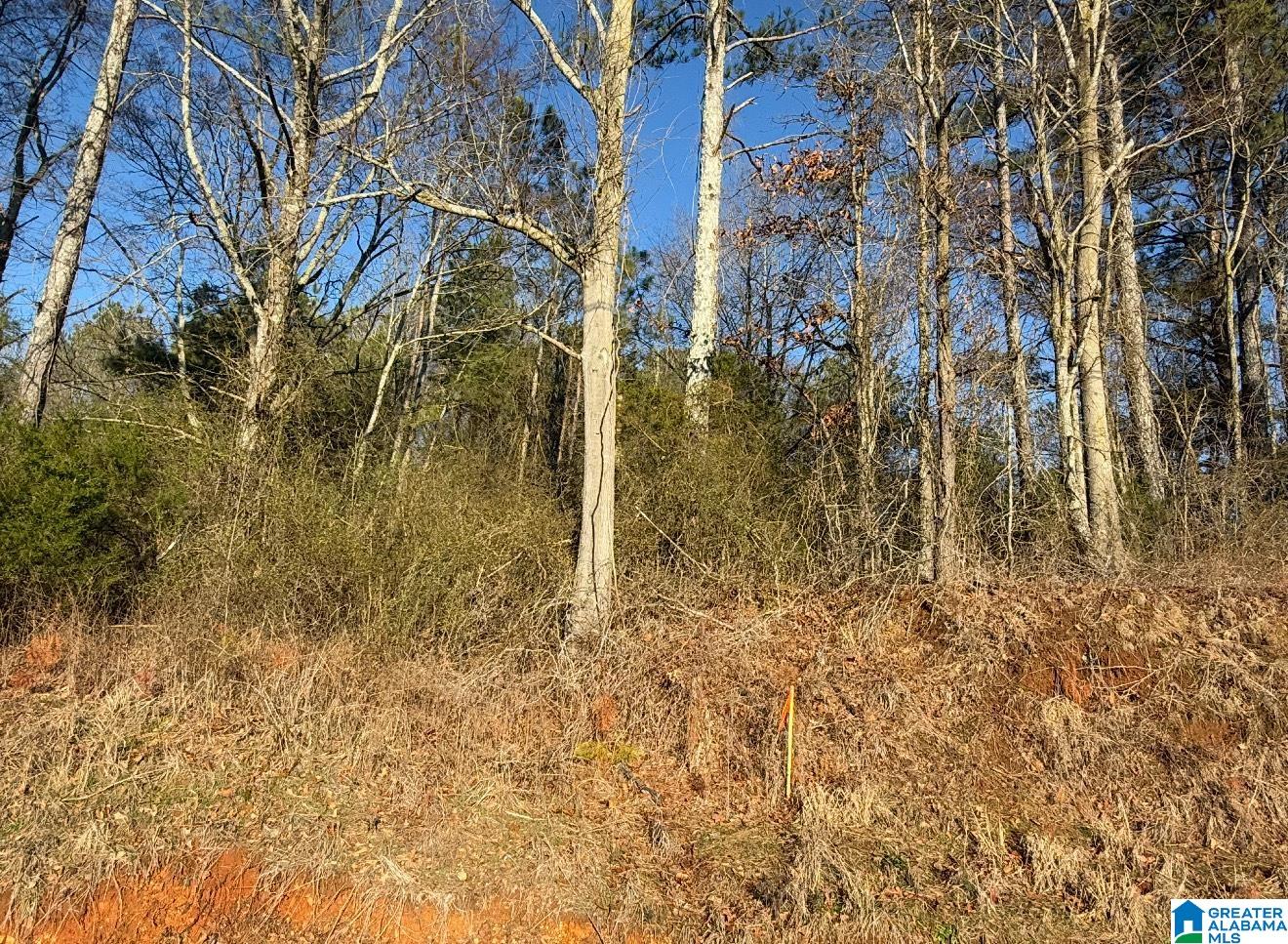 431 LIBERTY ROAD