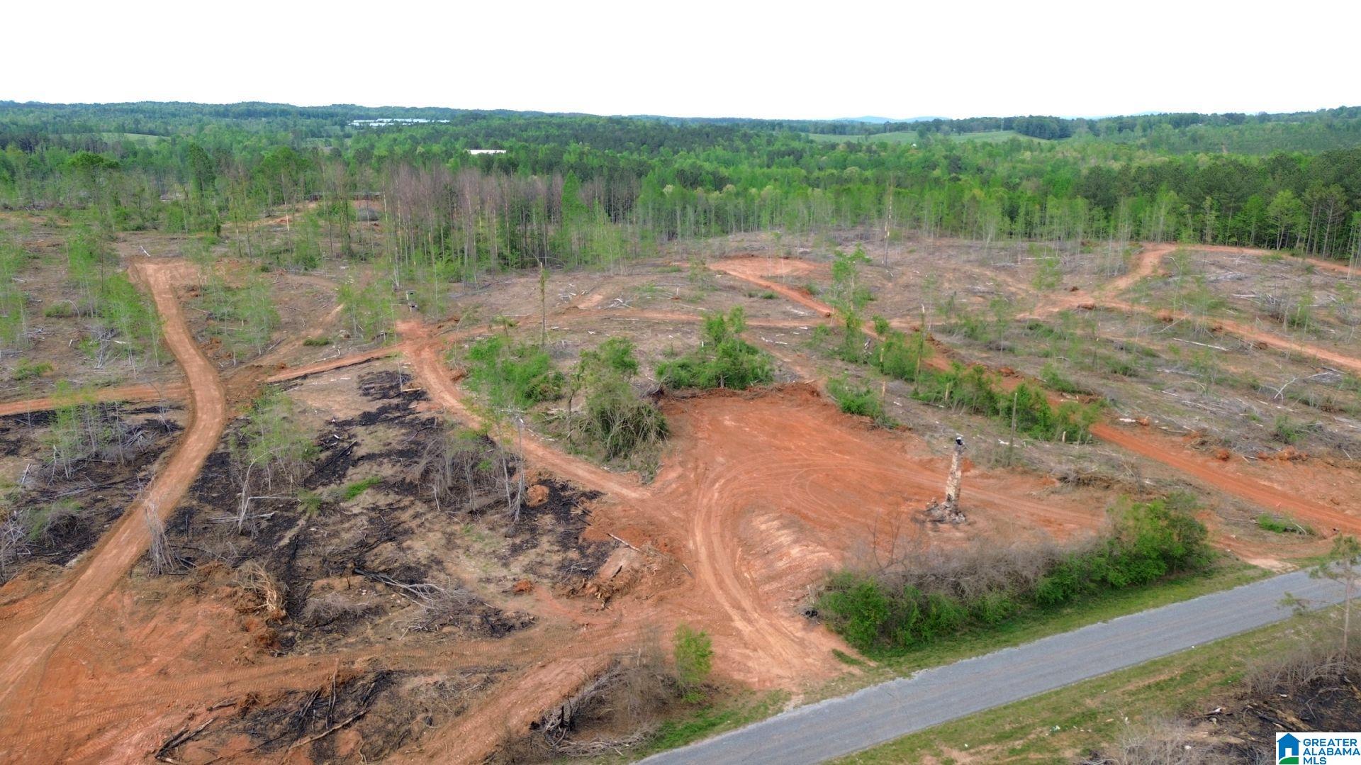 Homes for sale in Delta, AL | Center Hill Road, Delta, AL 36258 | MLS# 21416746