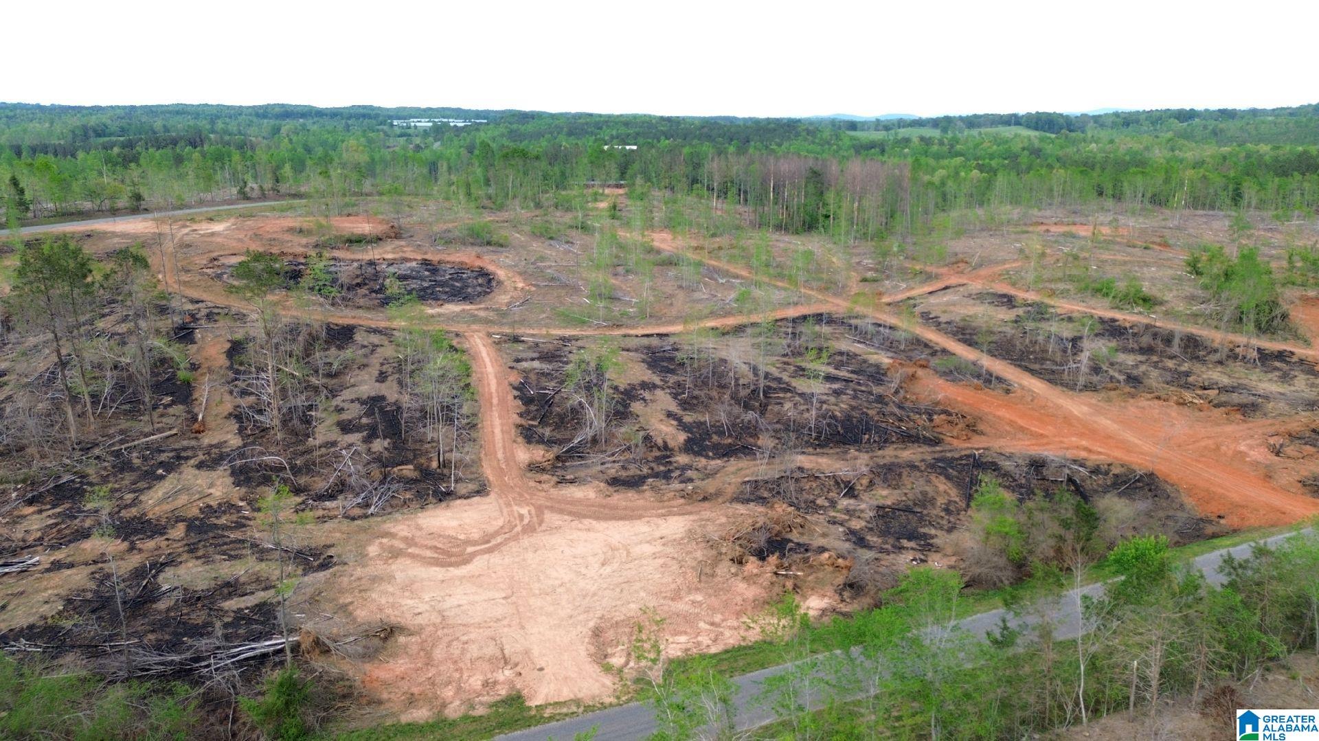 Homes for sale in Delta, AL | Center Hill Road, Delta, AL 36258 | MLS# 21416746