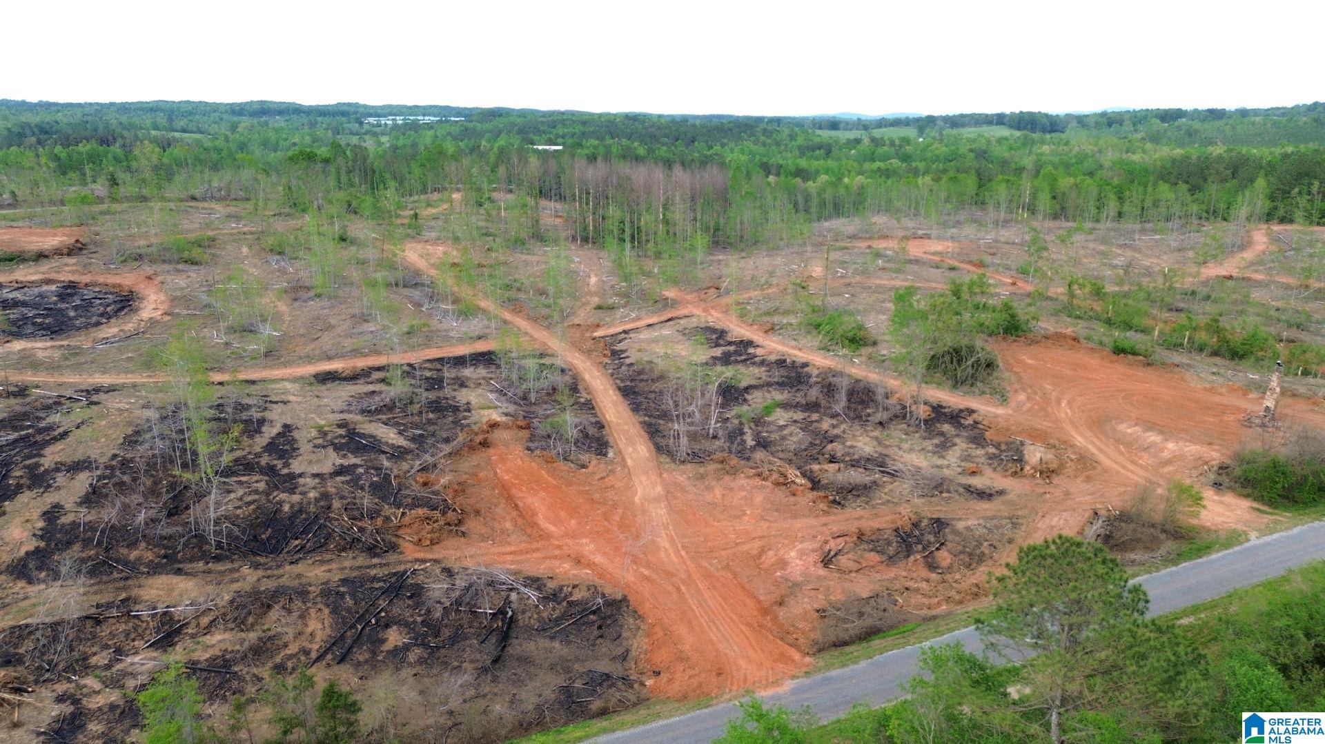 Homes for sale in Delta, AL | Center Hill Road, Delta, AL 36258 | MLS# 21416746