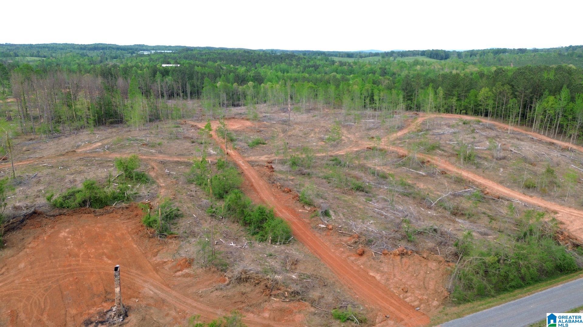 Homes for sale in Delta, AL | Center Hill Road, Delta, AL 36258 | MLS# 21416746