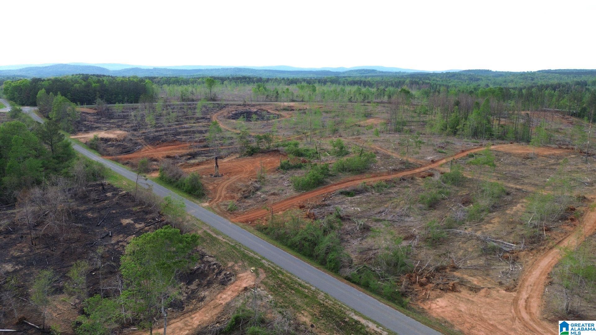 Homes for sale in Delta, AL | Center Hill Road, Delta, AL 36258 | MLS# 21416746