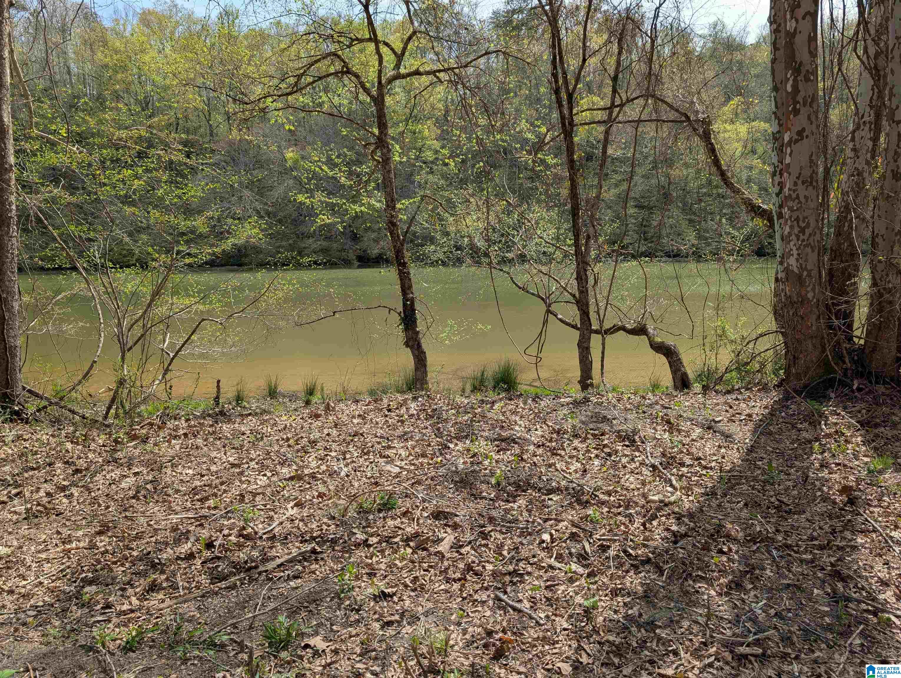 Homes for sale in Cordova, AL | Lot 1 A River Crest Dr, Cordova, AL 35550 | MLS# 21416853