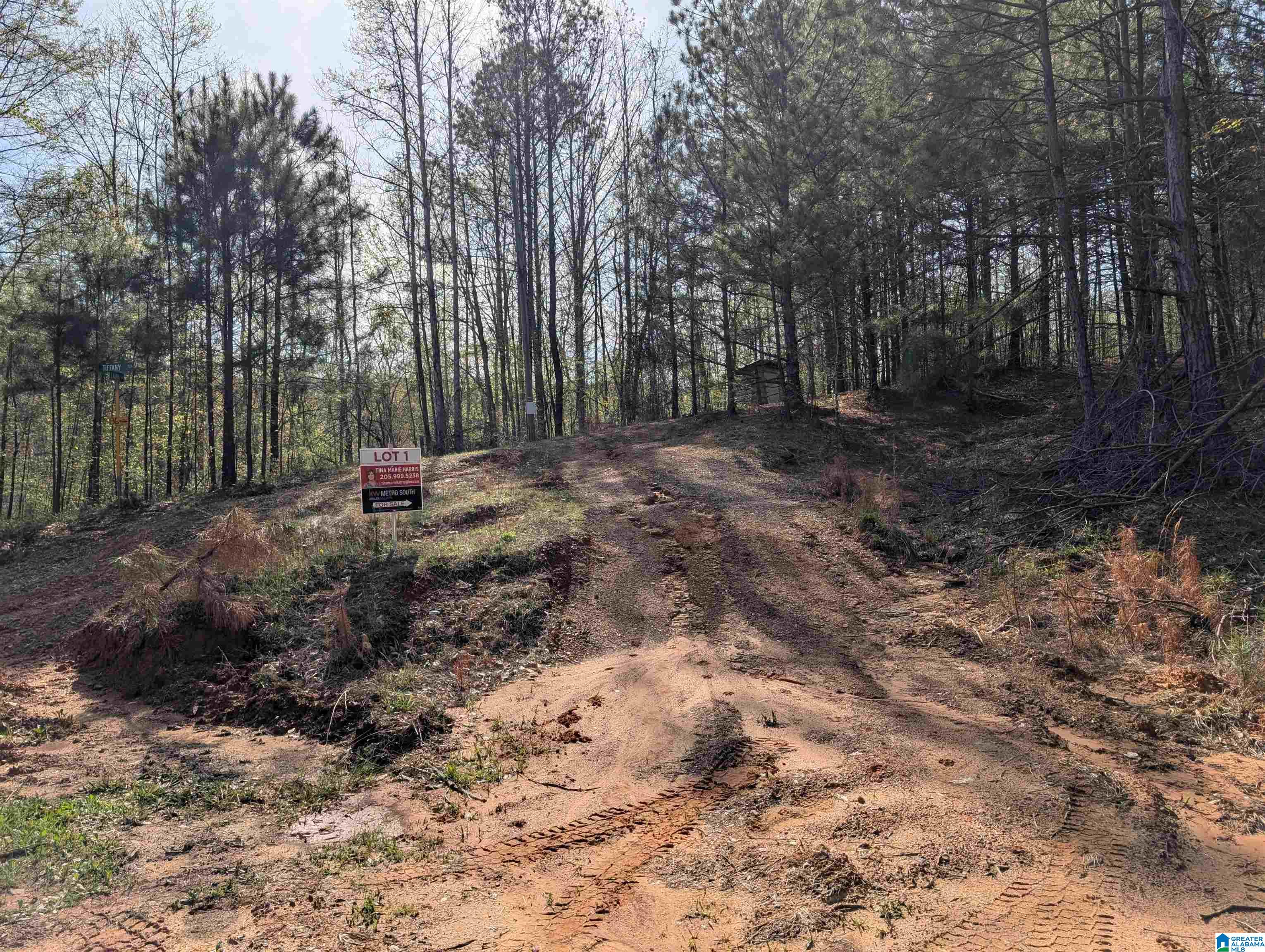 Homes for sale in Cordova, AL | Lot 1 A River Crest Dr, Cordova, AL 35550 | MLS# 21416853