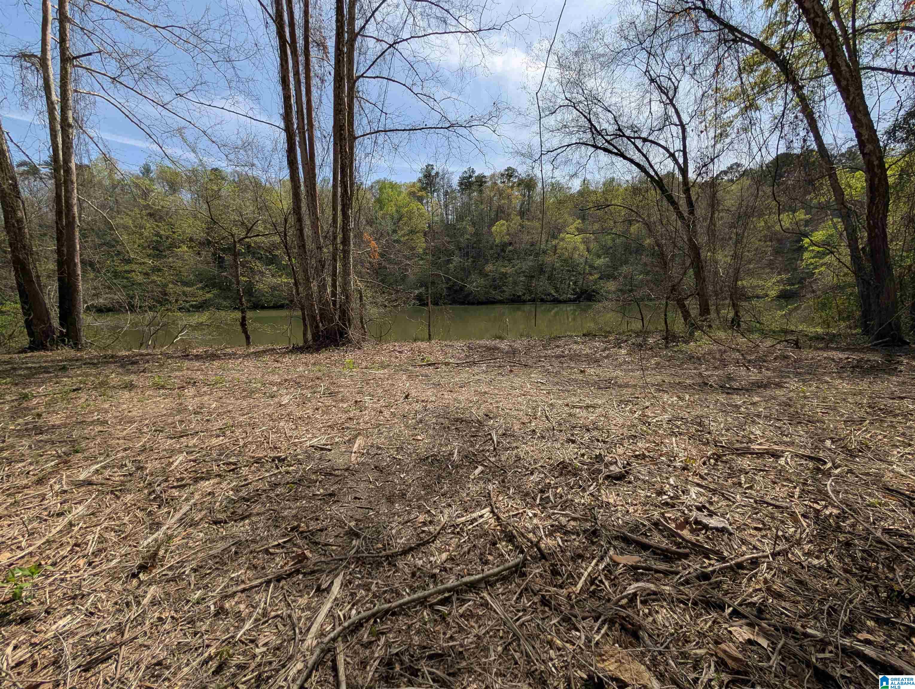 Homes for sale in Cordova, AL | Lot 1-A River Crest Dr, Cordova, AL 35550 | MLS# 21416853