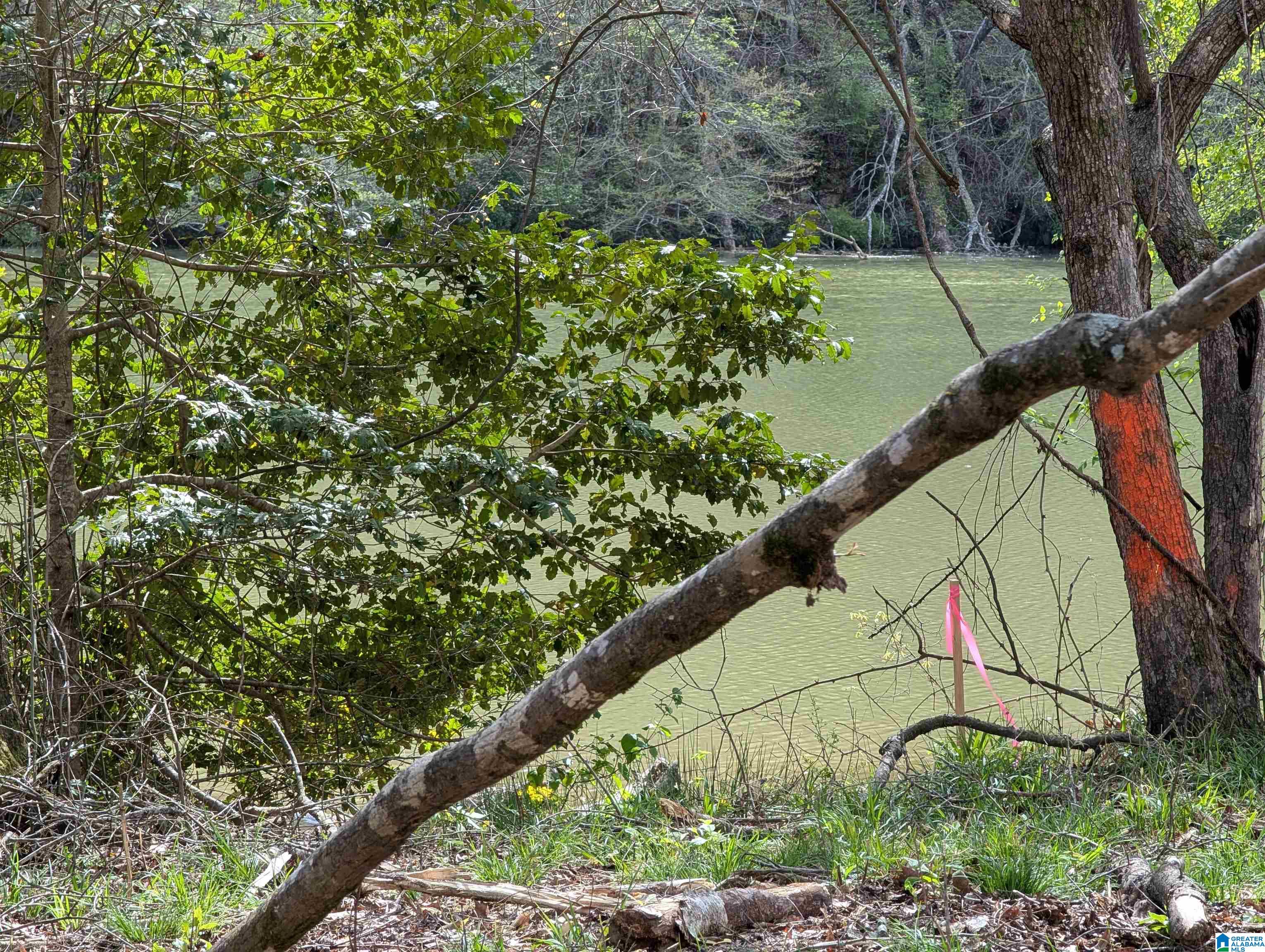 Homes for sale in Cordova, AL | Lot 1-A River Crest Dr, Cordova, AL 35550 | MLS# 21416853