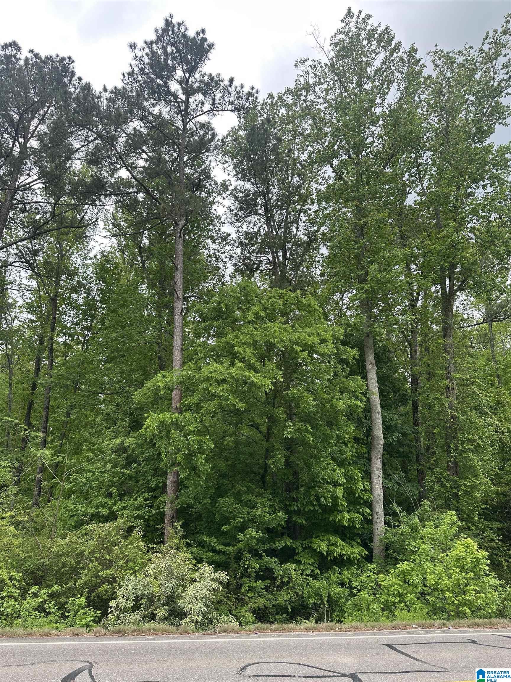 Homes for sale in Pell City, AL | 0 Hwy 174, Pell City, AL 35125 | MLS# 21416876