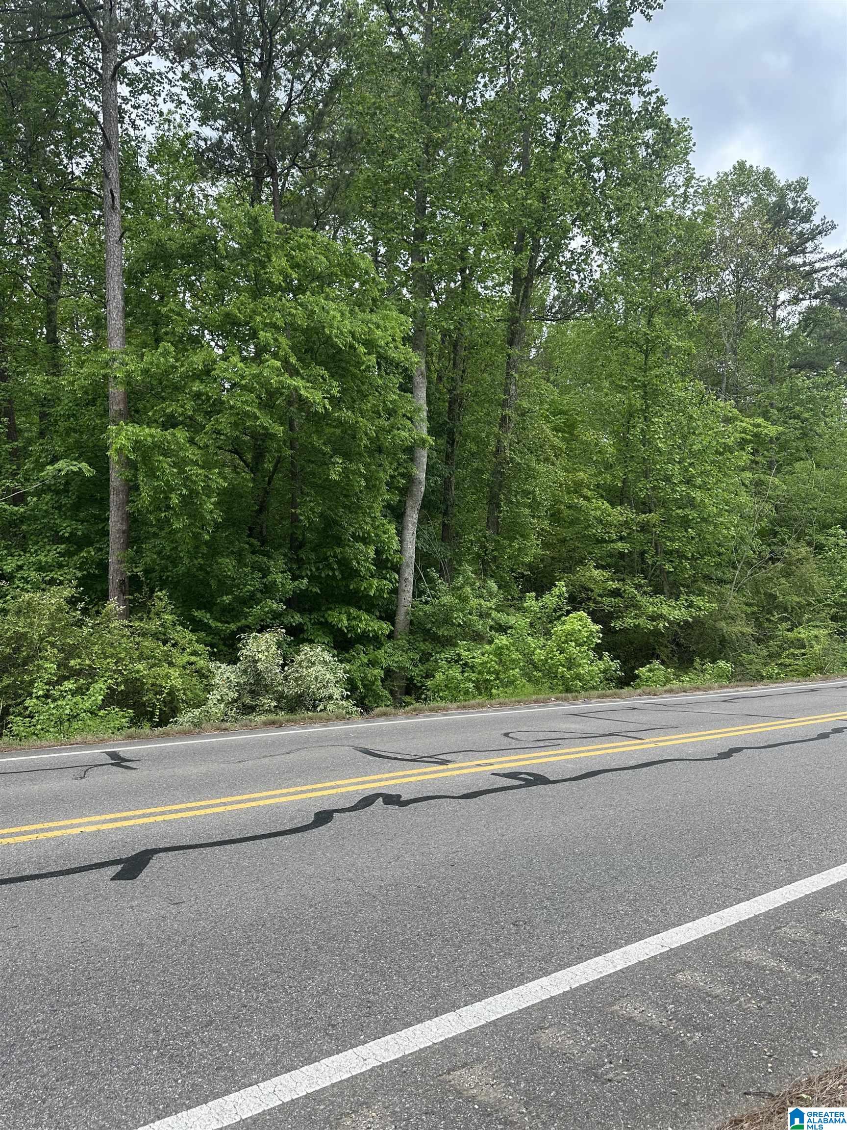 Homes for sale in Pell City, AL | 0 Hwy 174, Pell City, AL 35125 | MLS# 21416876