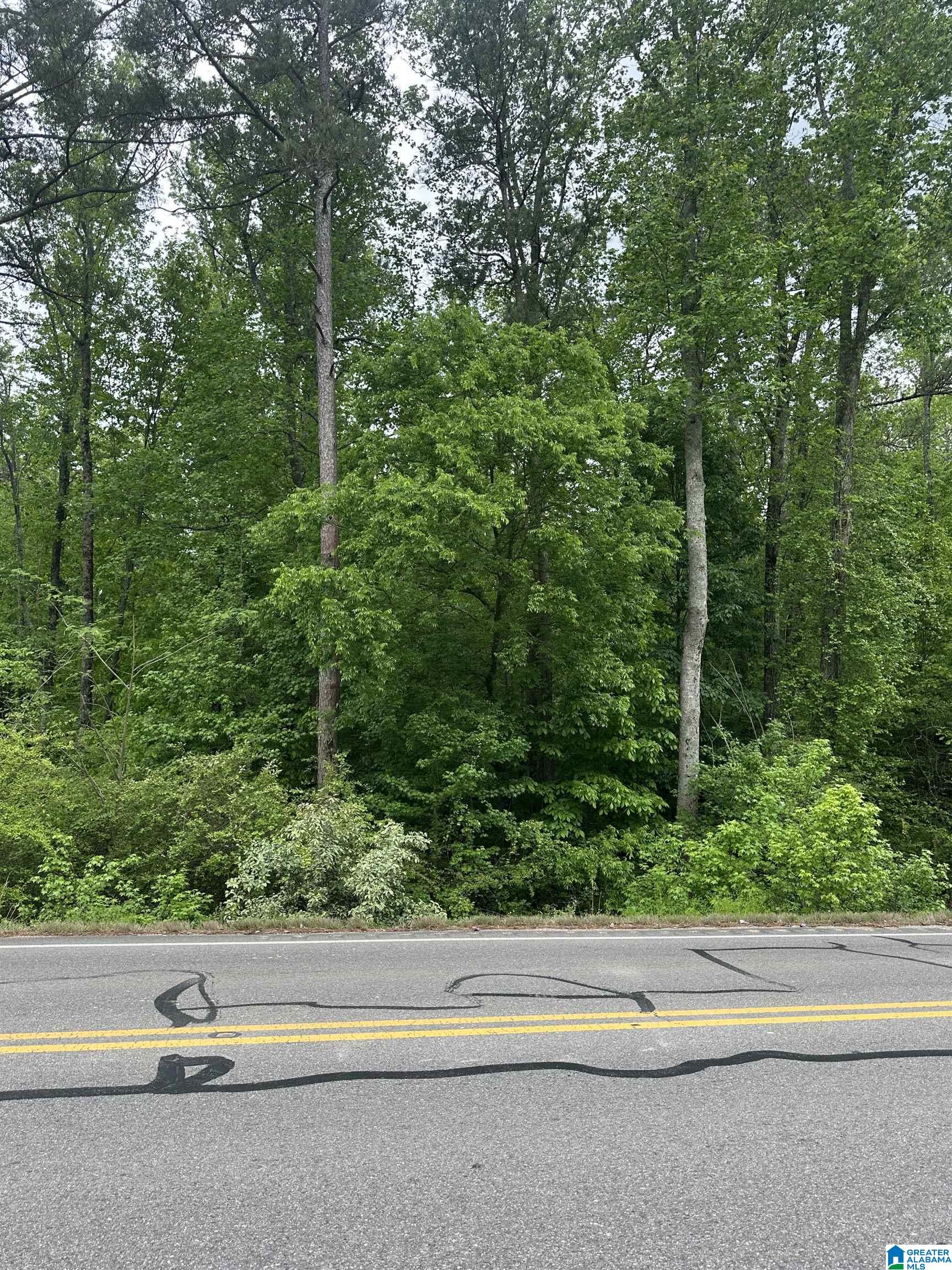 Homes for sale in Pell City, AL | 0 Hwy 174, Pell City, AL 35125 | MLS# 21416876