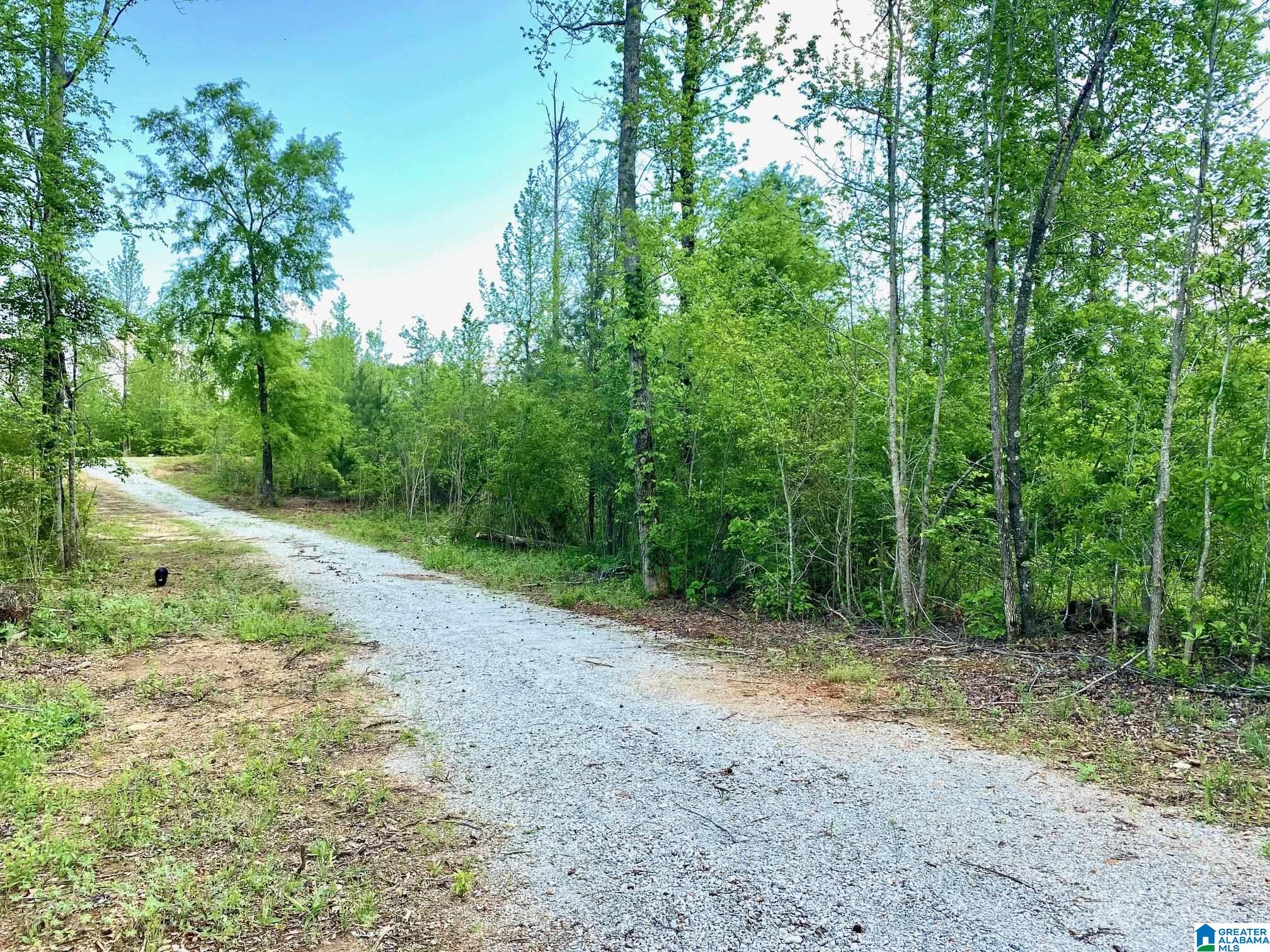 307 COUNTY ROAD 11
