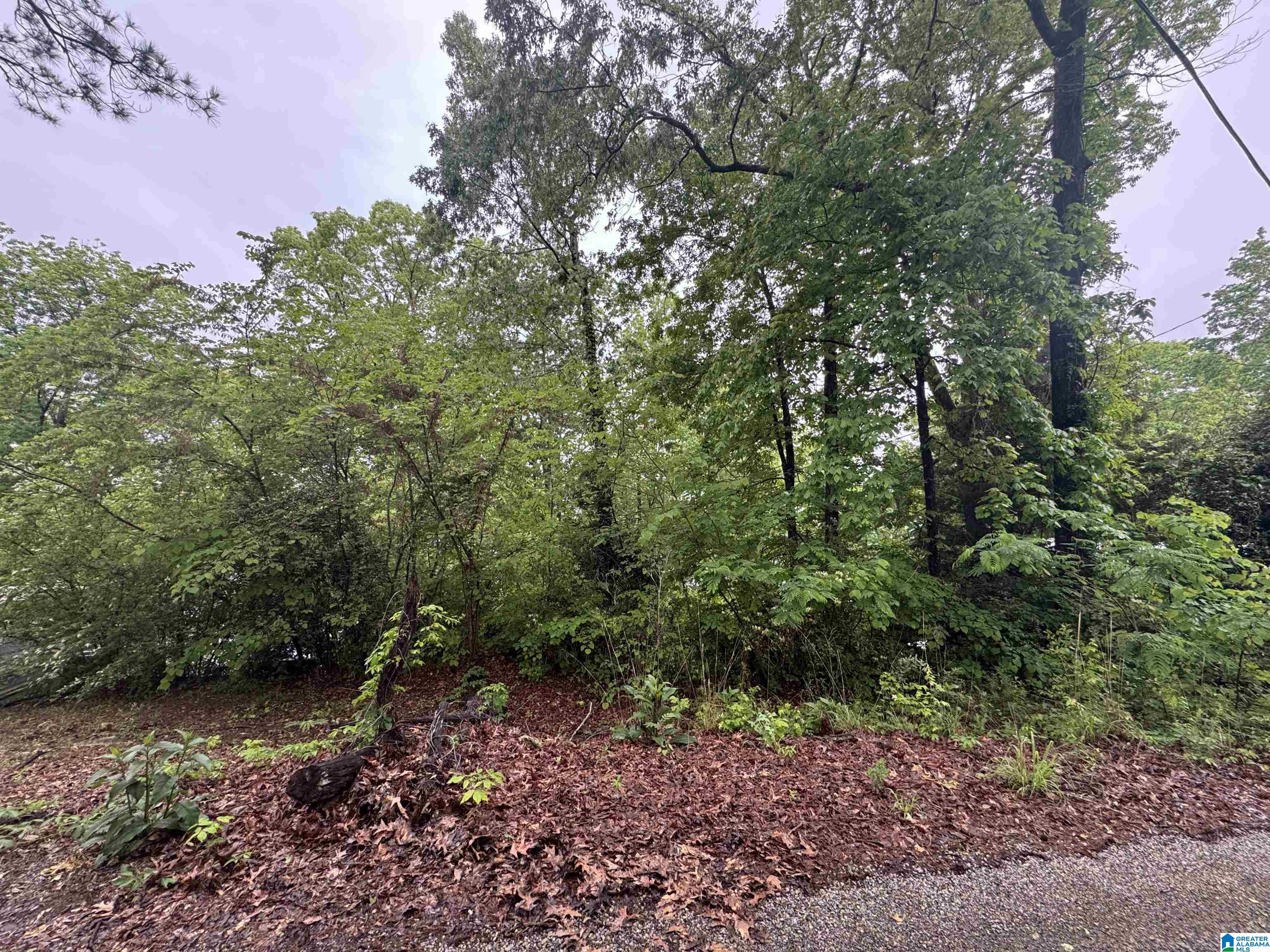 Homes for sale in Talladega, AL | 0 River Terrace Dr, Talladega, AL 35160 | MLS# 21416968