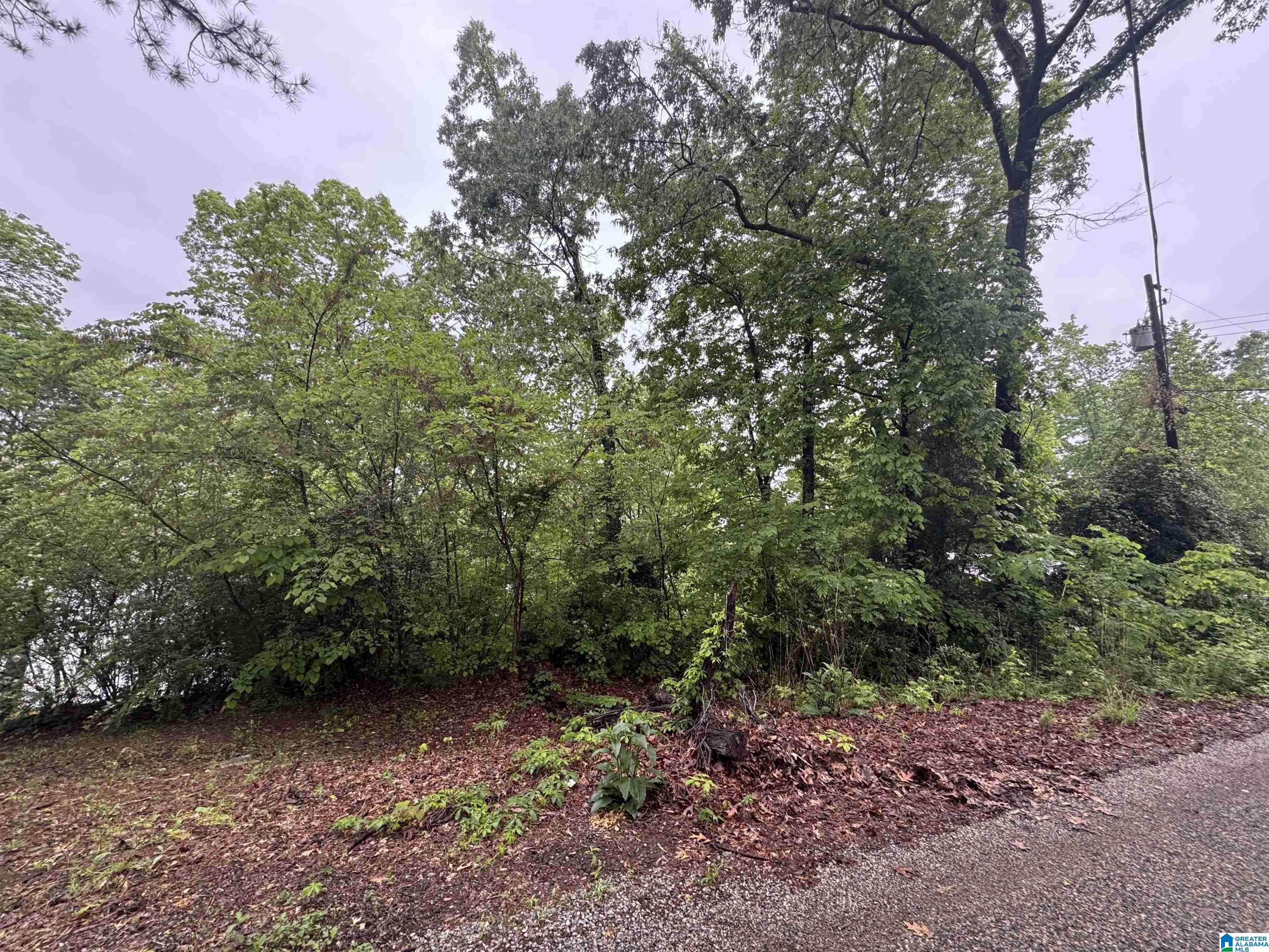 Homes for sale in Talladega, AL | 0 River Terrace Dr, Talladega, AL 35160 | MLS# 21416968