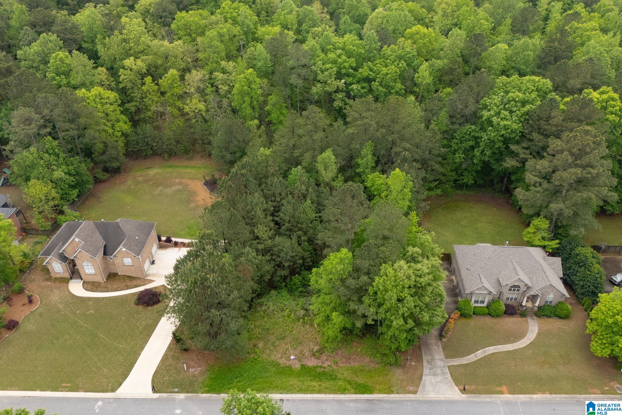 Homes for sale in Chelsea, AL | 240 Woodbridge Trail, Chelsea, AL 35043 | MLS# 21416991