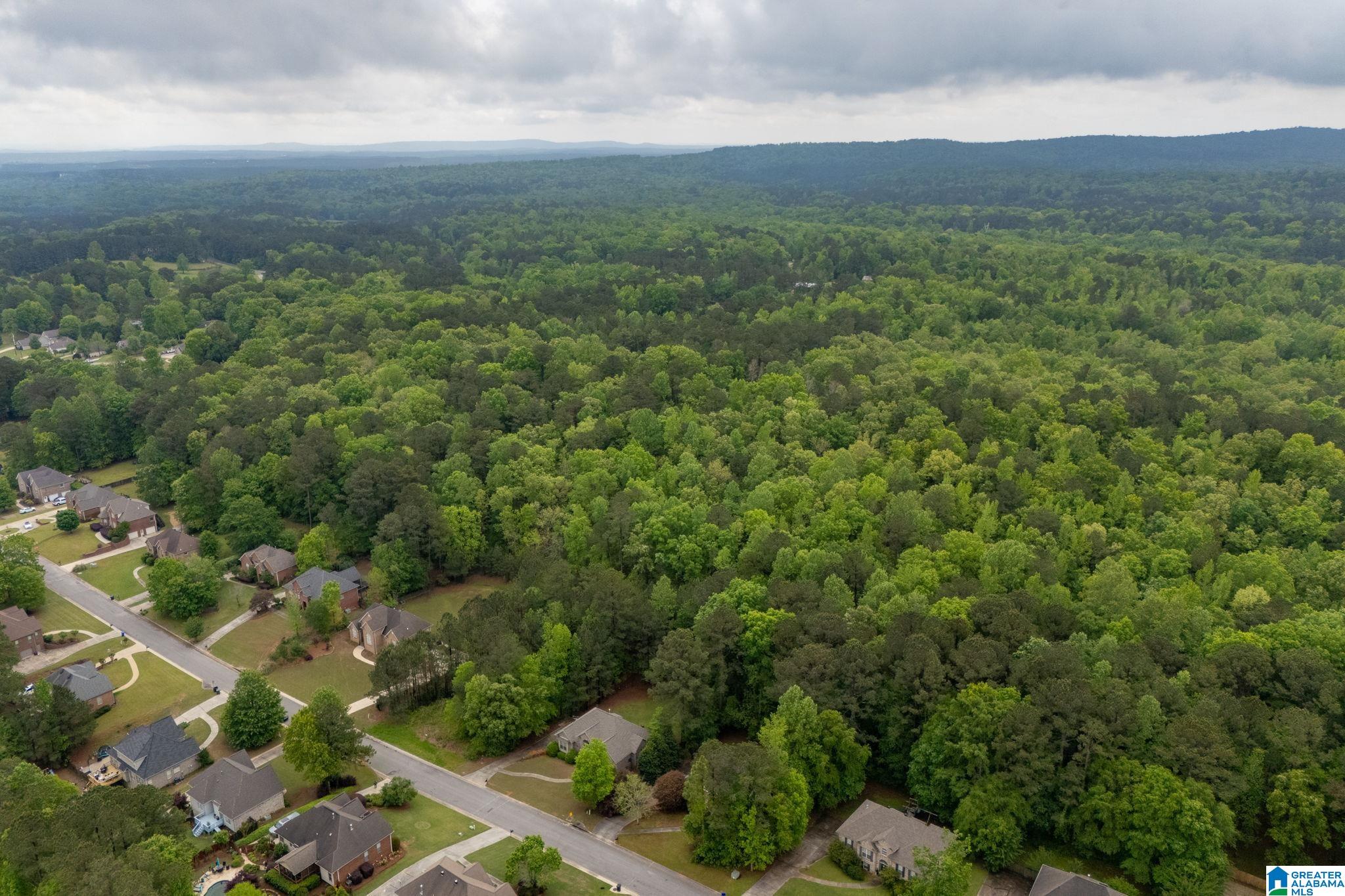 Homes for sale in Chelsea, AL | 240 Woodbridge Trail, Chelsea, AL 35043 | MLS# 21416991