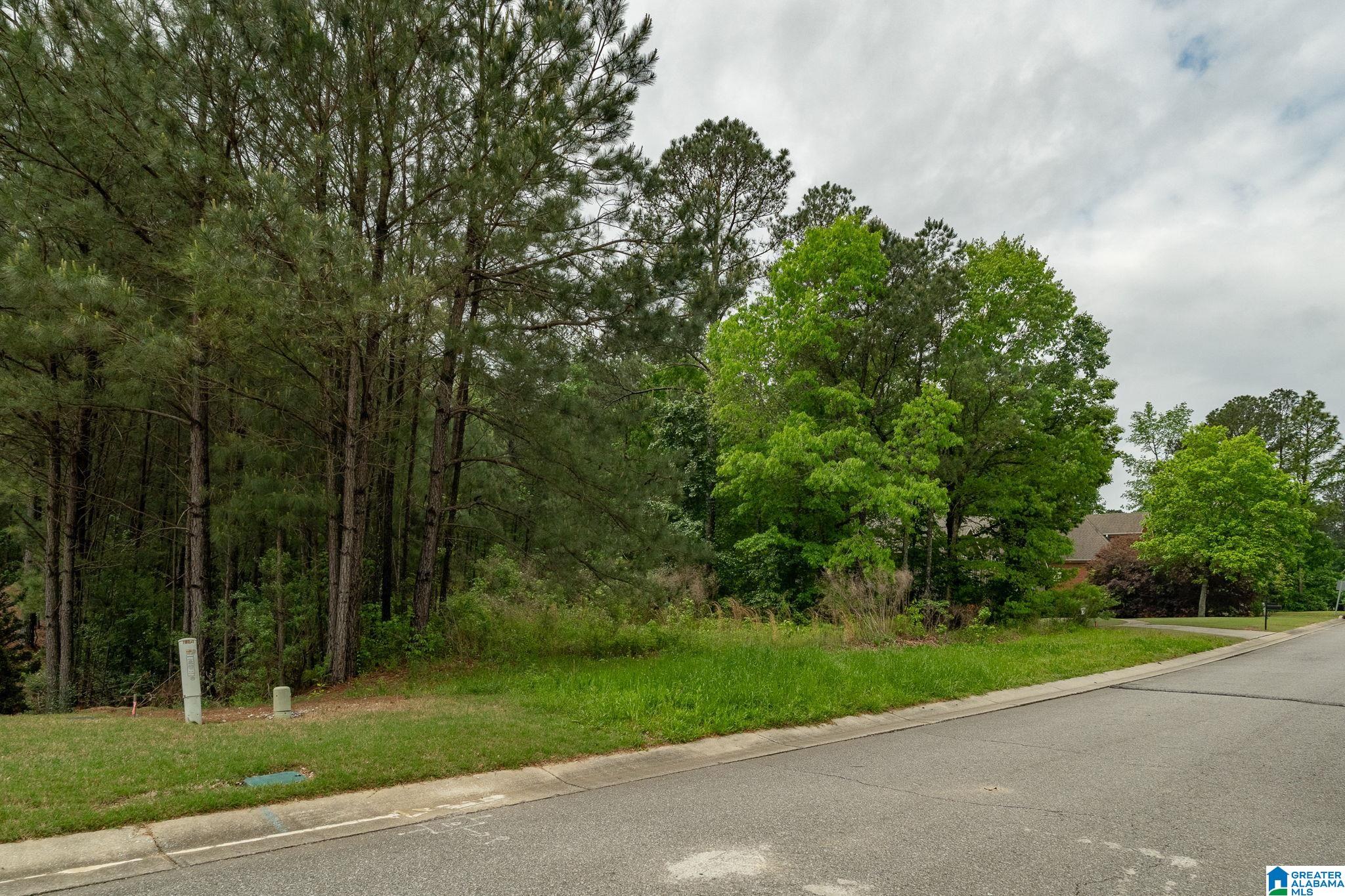 Homes for sale in Chelsea, AL | 240 Woodbridge Trail, Chelsea, AL 35043 | MLS# 21416991