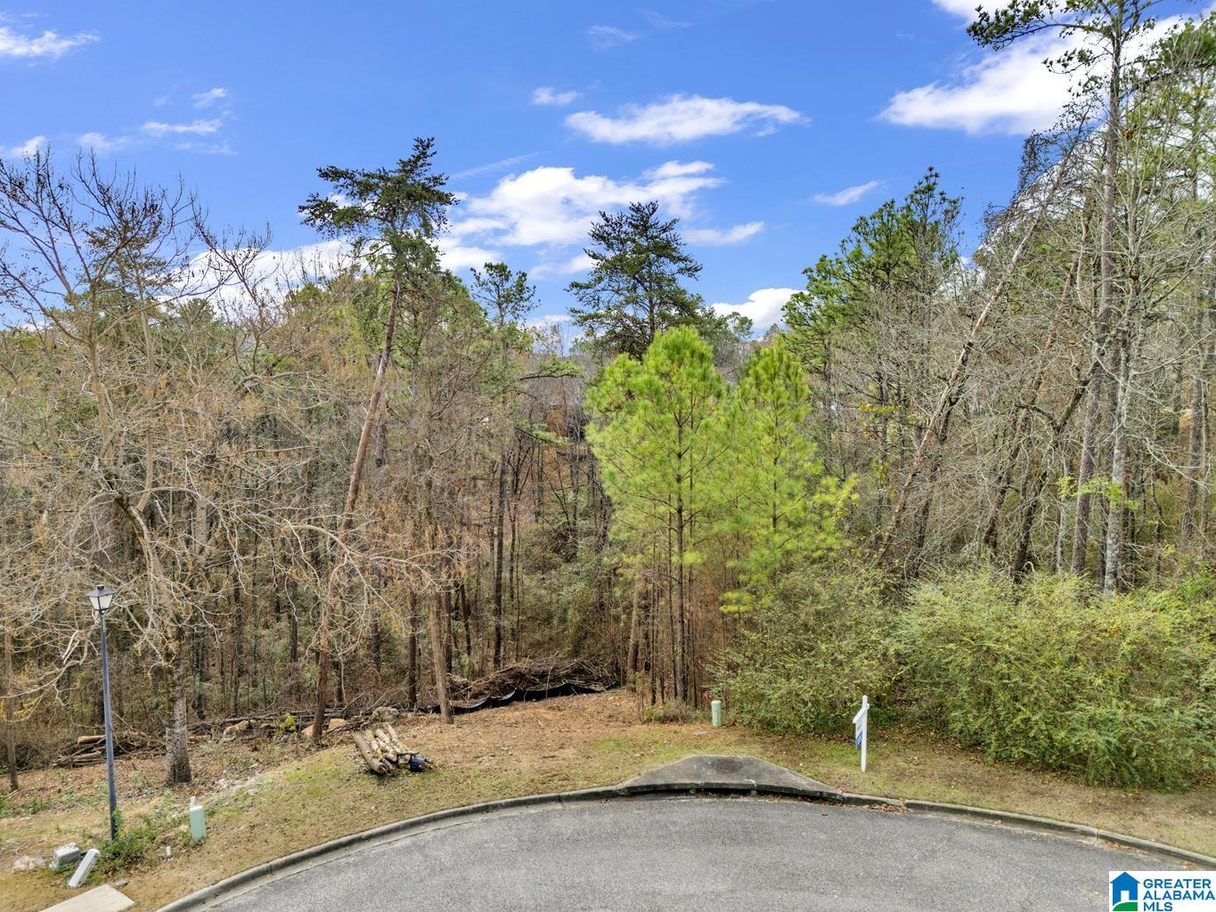 Homes for sale in Alabaster, AL | 280 Cedar Grove Parkway, Alabaster, AL 35007 | MLS# 21417124