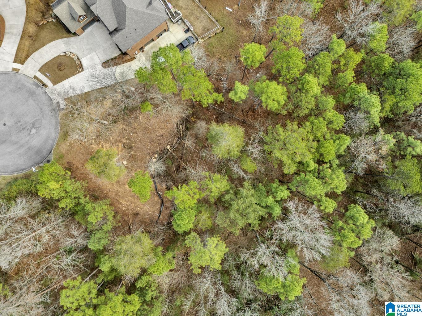 Homes for sale in Alabaster, AL | 280 Cedar Grove Parkway, Alabaster, AL 35007 | MLS# 21417124