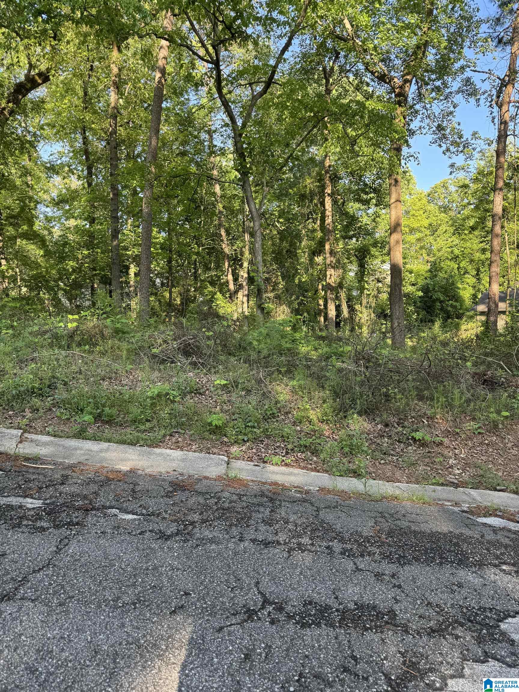 Homes for sale in Mount Olive, AL | 5113 Biddle Circle, Mount Olive, AL 35117 | MLS# 21417190