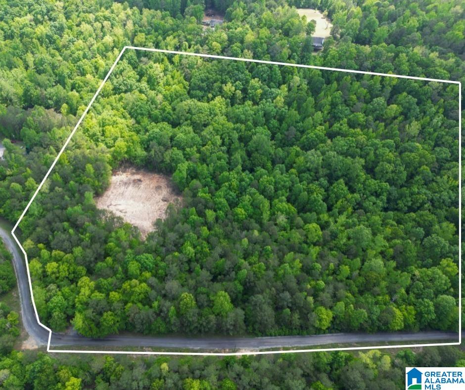 Homes for sale in Springville, AL | 720 Twin Bluffs Dr, Springville, AL 35146 | MLS# 21417422