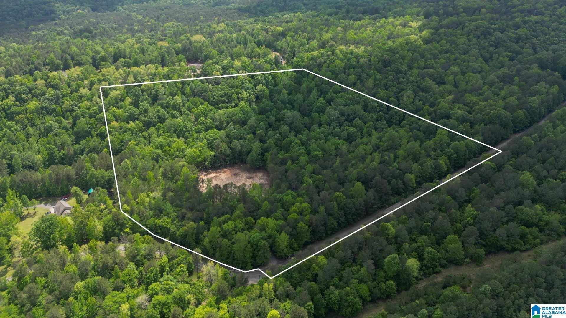 Homes for sale in Springville, AL | 720 Twin Bluffs Dr, Springville, AL 35146 | MLS# 21417422