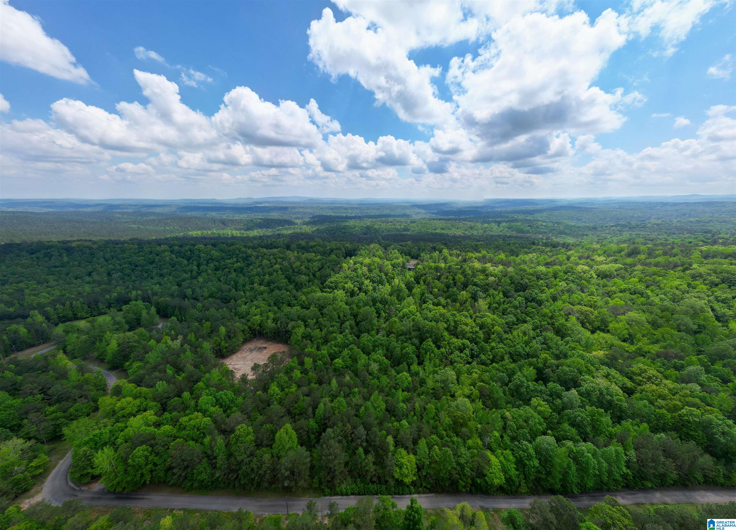 Homes for sale in Springville, AL | 720 Twin Bluffs Dr, Springville, AL 35146 | MLS# 21417422