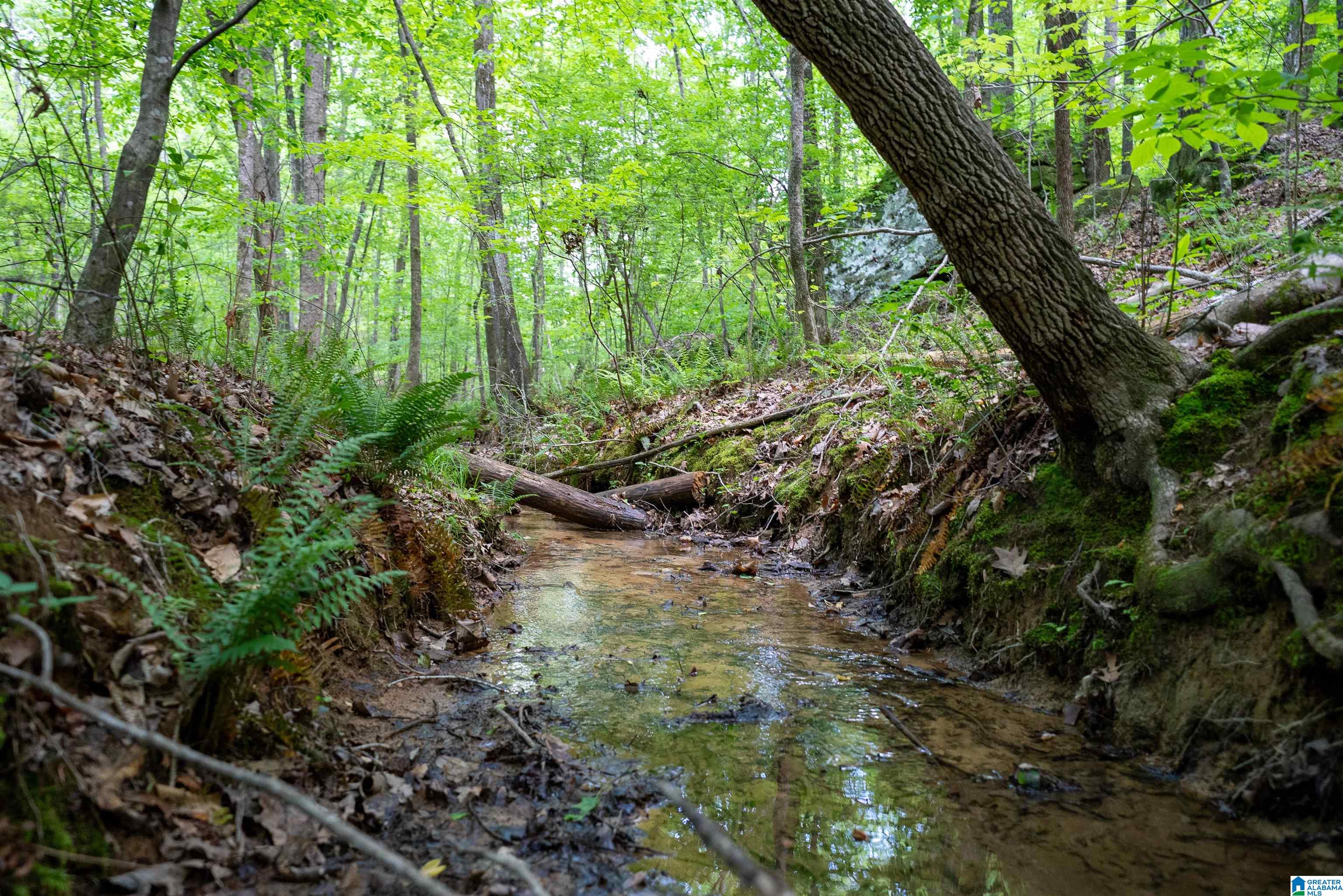 Homes for sale in Springville, AL | 720 Twin Bluffs Dr, Springville, AL 35146 | MLS# 21417422