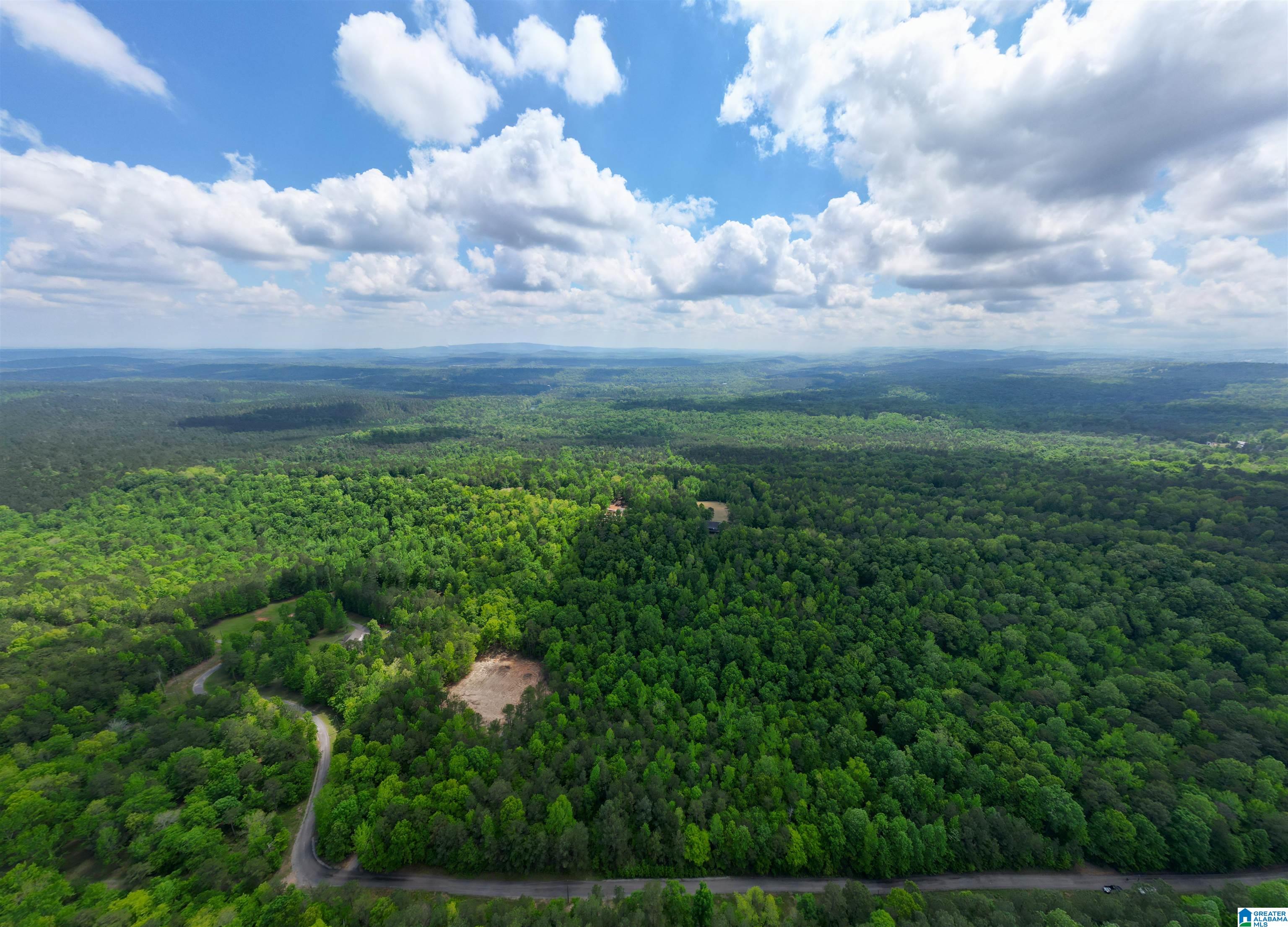 Homes for sale in Springville, AL | 720 Twin Bluffs Dr, Springville, AL 35146 | MLS# 21417422