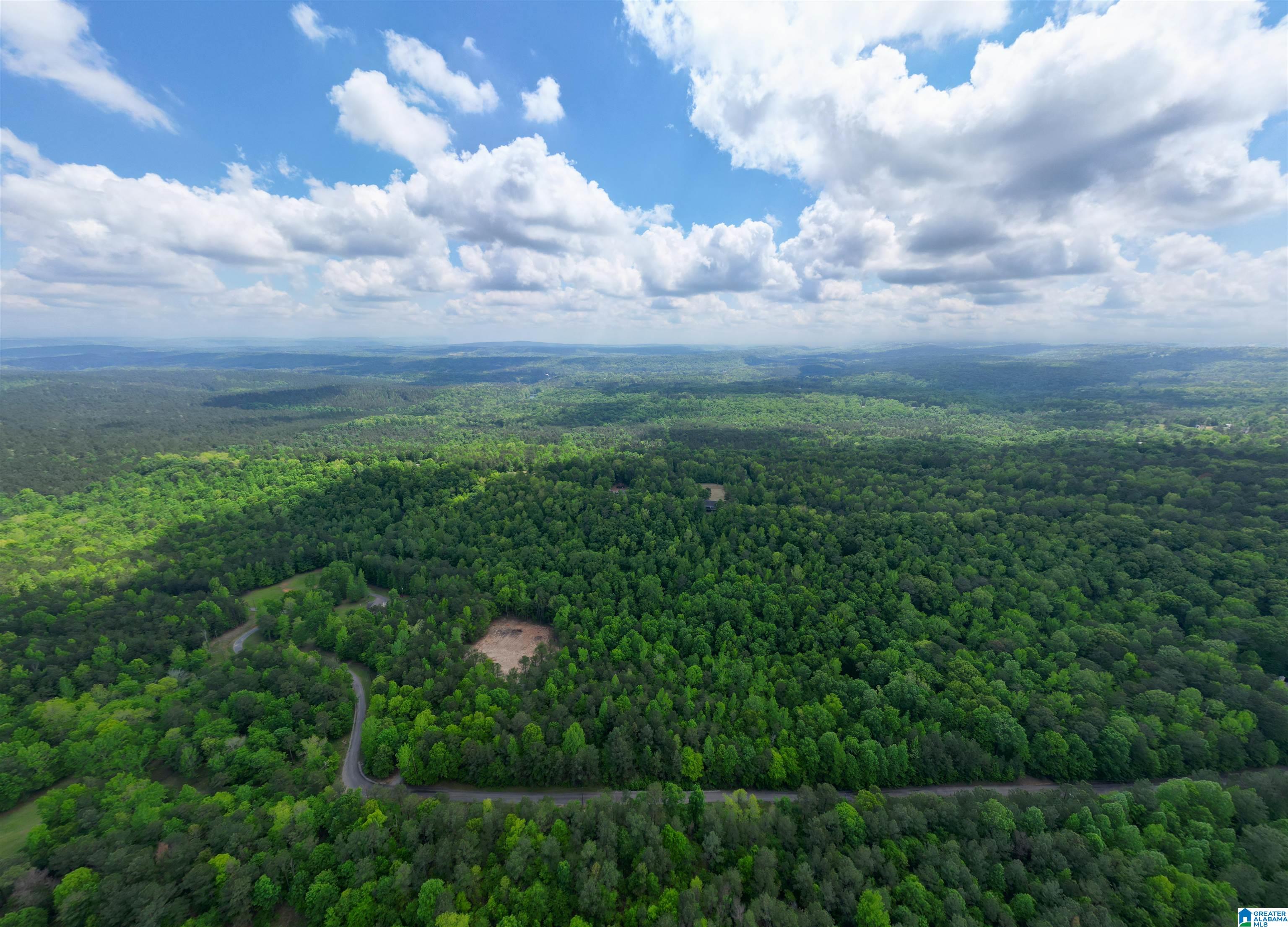 Homes for sale in Springville, AL | 720 Twin Bluffs Dr, Springville, AL 35146 | MLS# 21417422