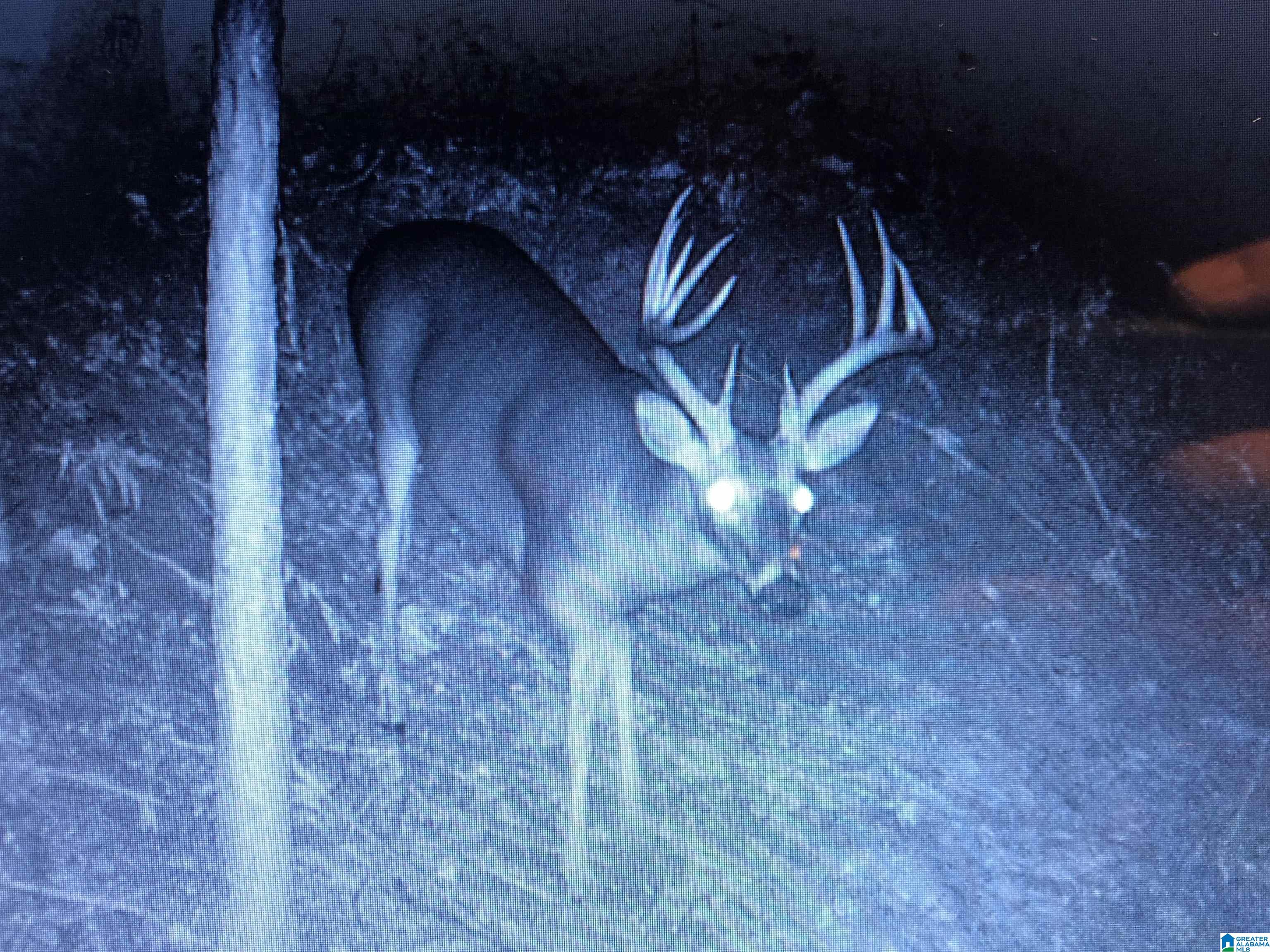 Homes for sale in Springville, AL | Fern Circle, Springville, AL 35146 | MLS# 21417668