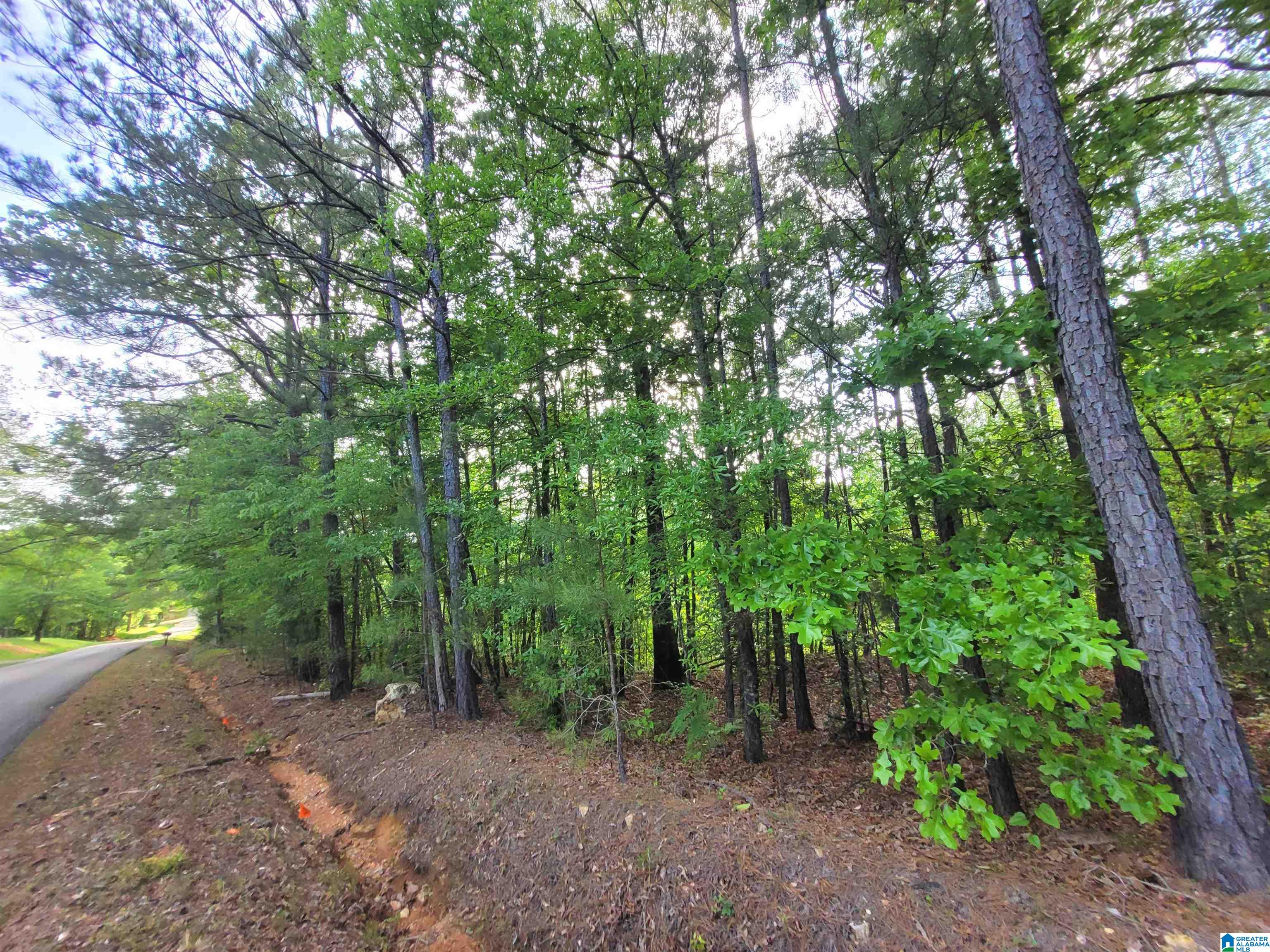 Homes for sale in Talladega, AL | 0000 Howell Cove Road, Talladega, AL 35160 | MLS# 21417670
