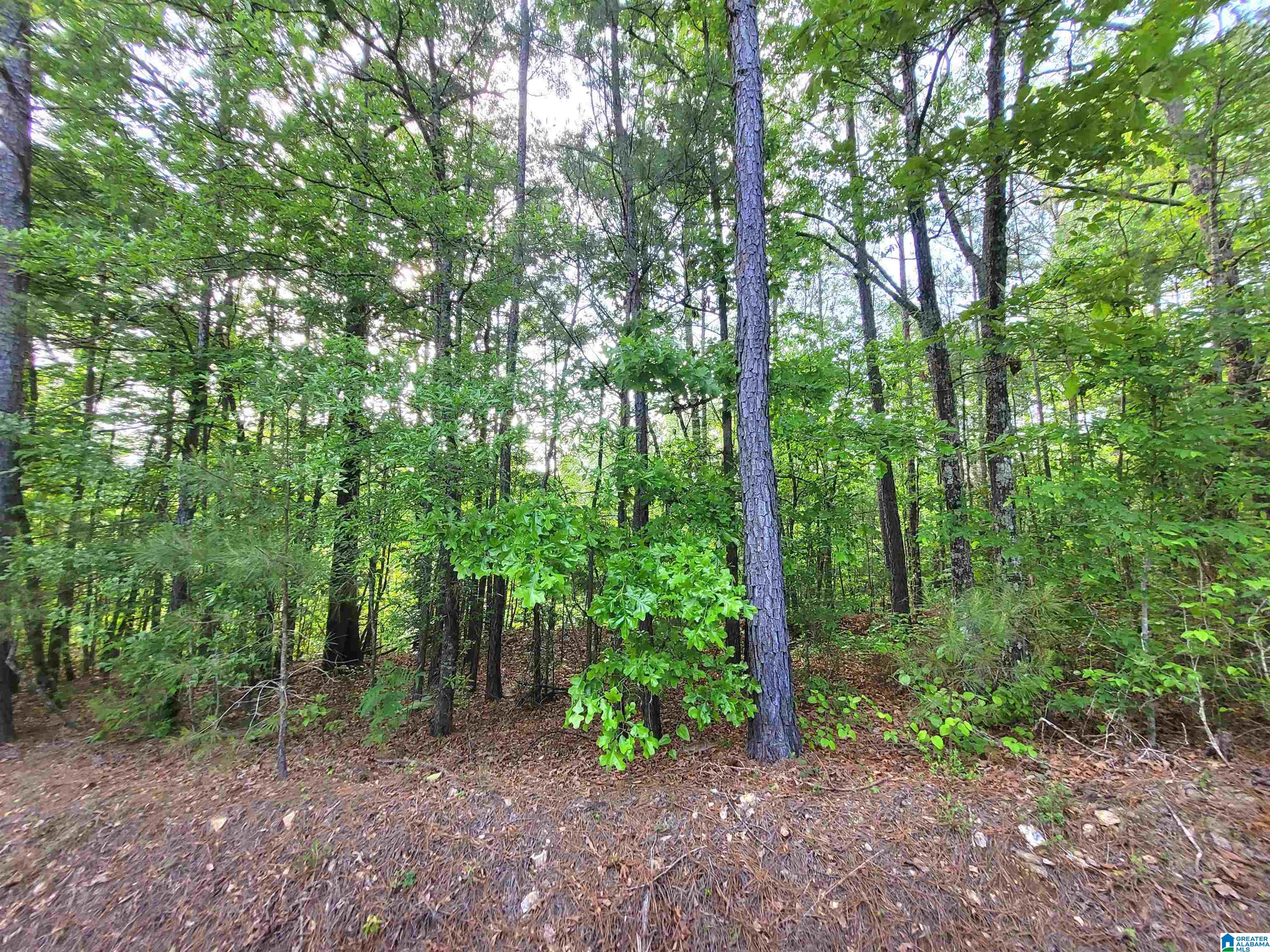 Homes for sale in Talladega, AL | 0000 Howell Cove Road, Talladega, AL 35160 | MLS# 21417670
