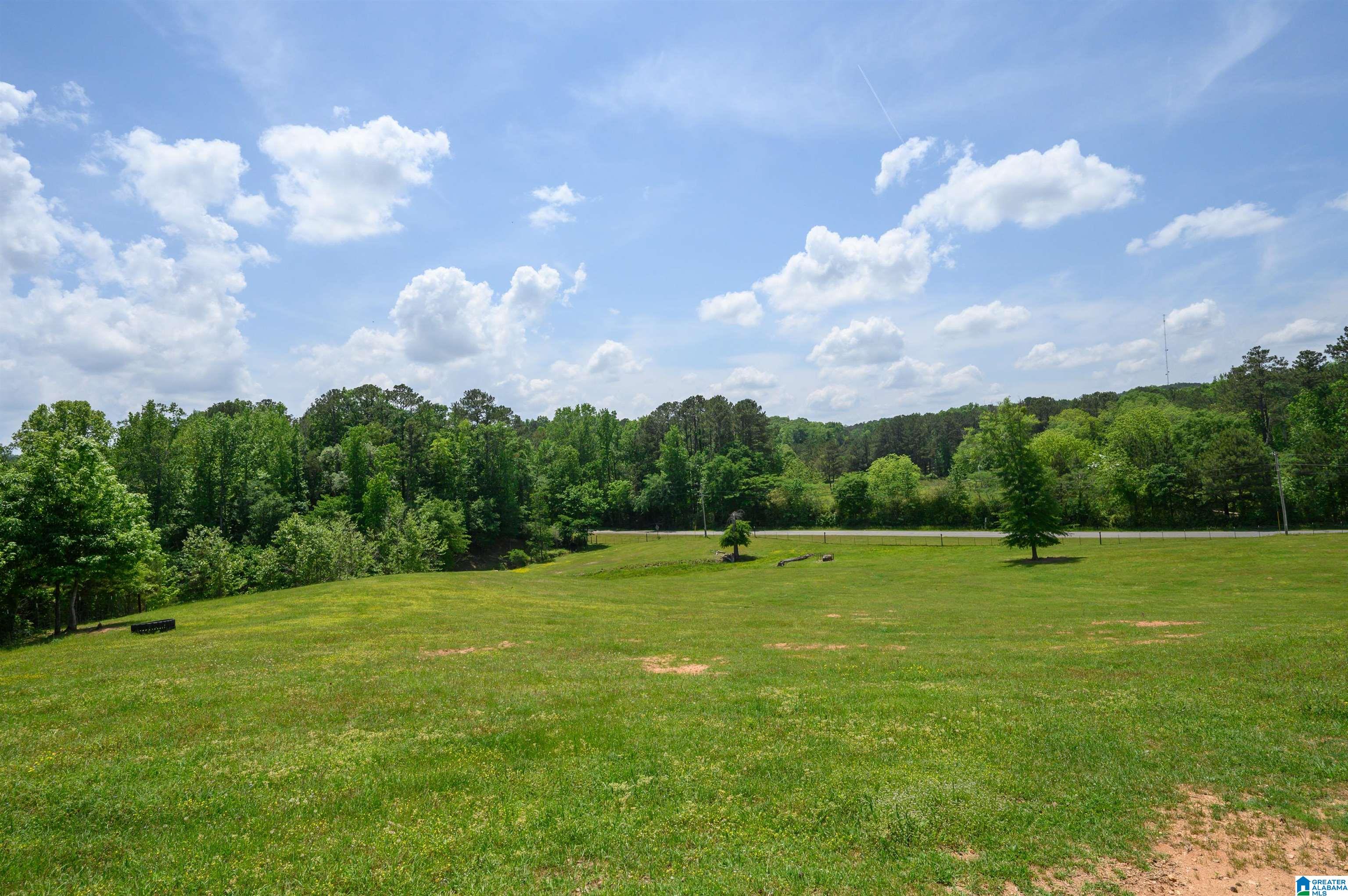 Homes for sale in Jemison, AL | 1352 County Road 185, Jemison, AL 35085 | MLS# 21417778