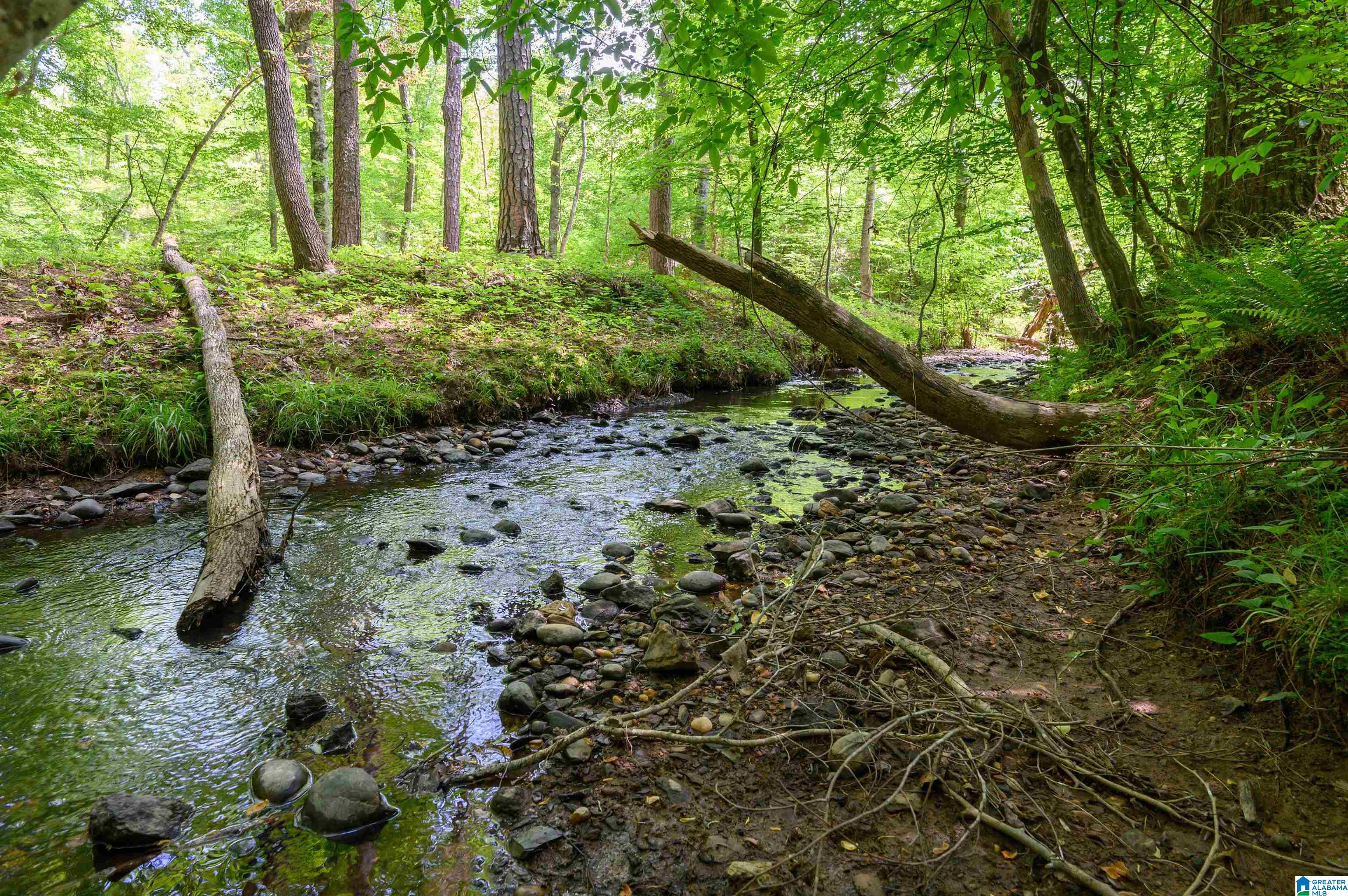 Homes for sale in Jemison, AL | 1352 County Road 185, Jemison, AL 35085 | MLS# 21417778