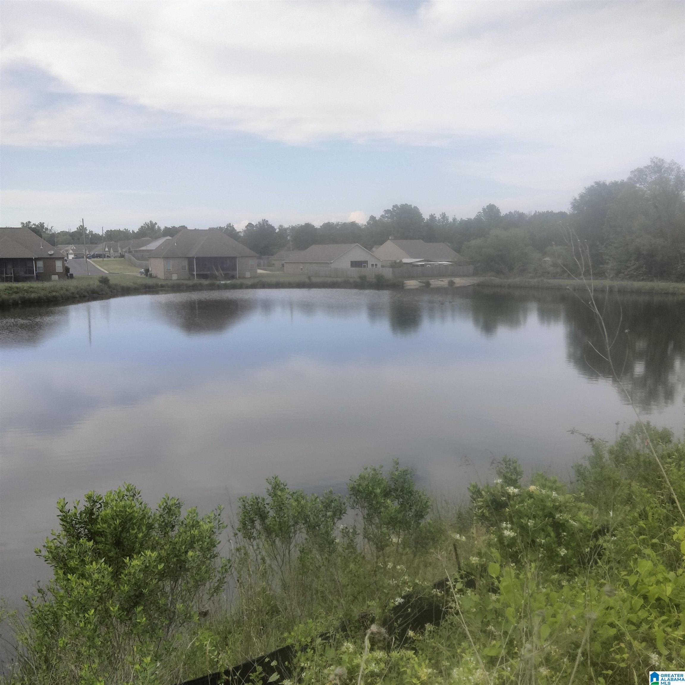 Homes for sale in Vance, AL | 18554 Wiregrass Dr, Vance, AL 35490 | MLS# 21417805