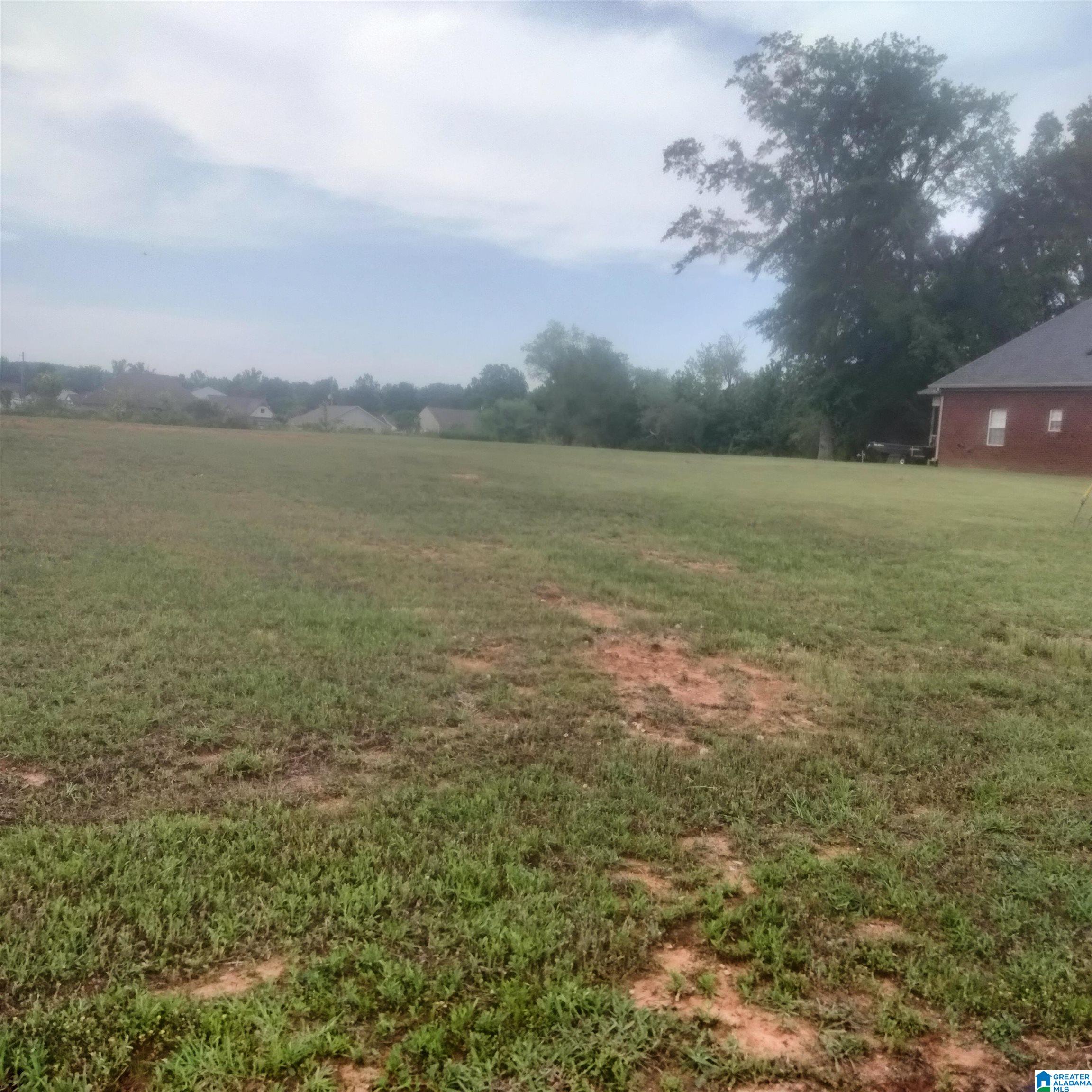 Homes for sale in Vance, AL | 18554 Wiregrass Dr, Vance, AL 35490 | MLS# 21417805