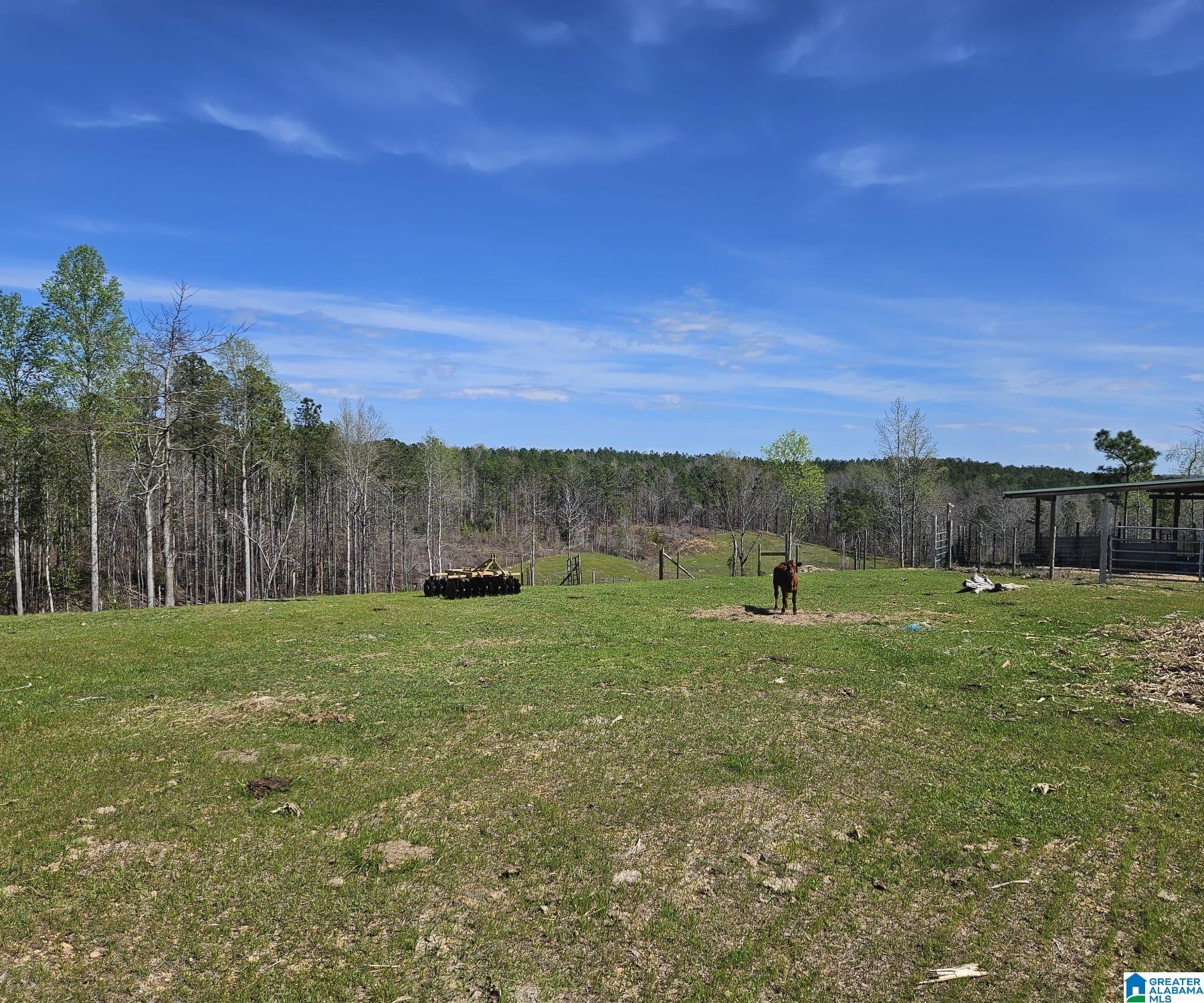 Homes for sale in Maplesville, AL | 3303 County Road 341, Maplesville, AL 36750 | MLS# 21417868