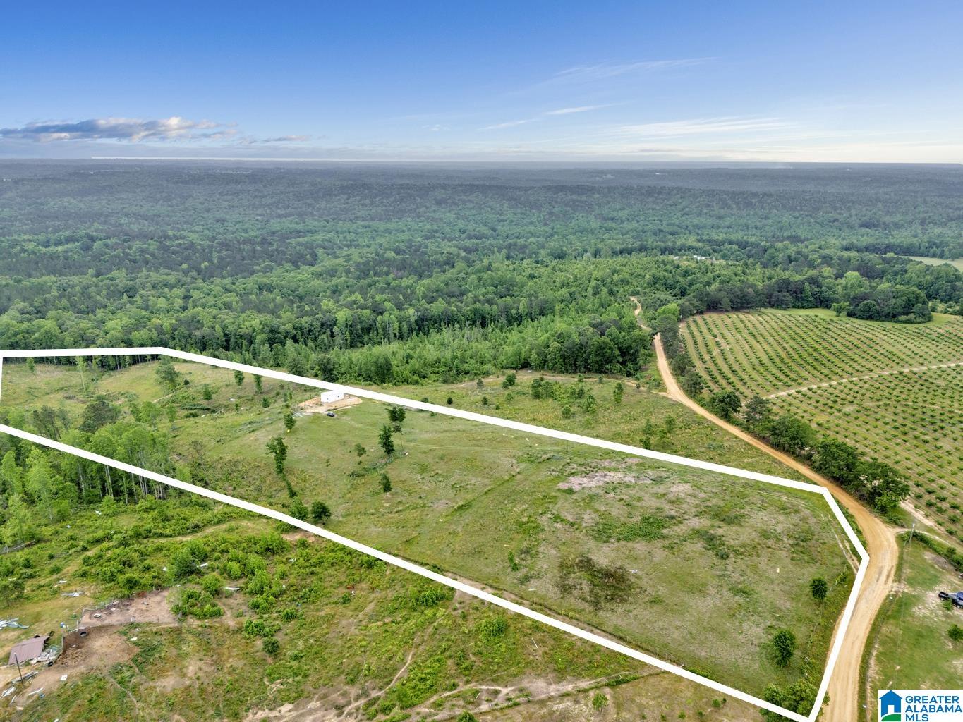 Homes for sale in Maplesville, AL | 3303 County Road 341, Maplesville, AL 36750 | MLS# 21417868