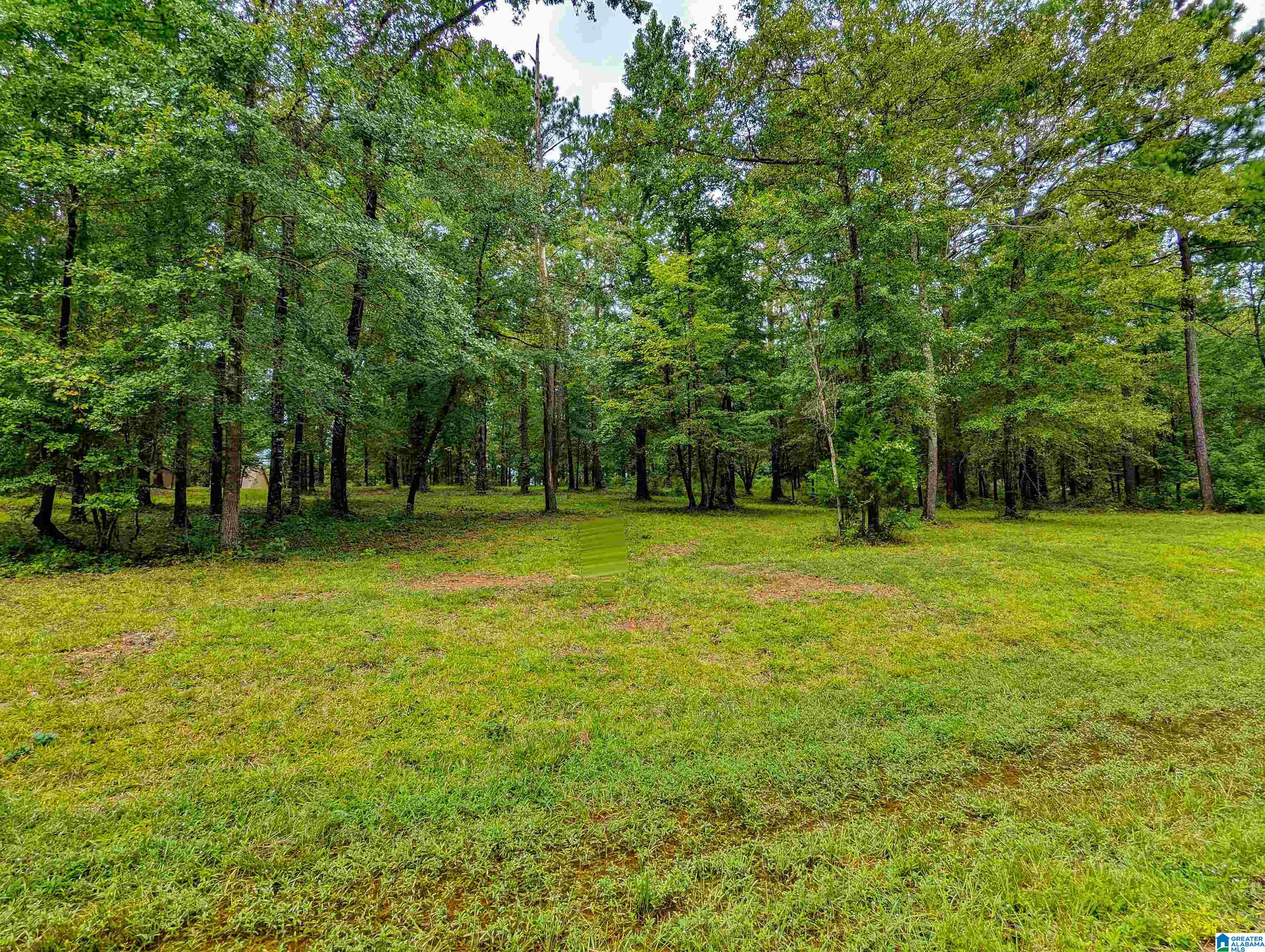 Homes for sale in Clanton, AL | Lake Front Trail, Clanton, AL 35046 | MLS# 21418374