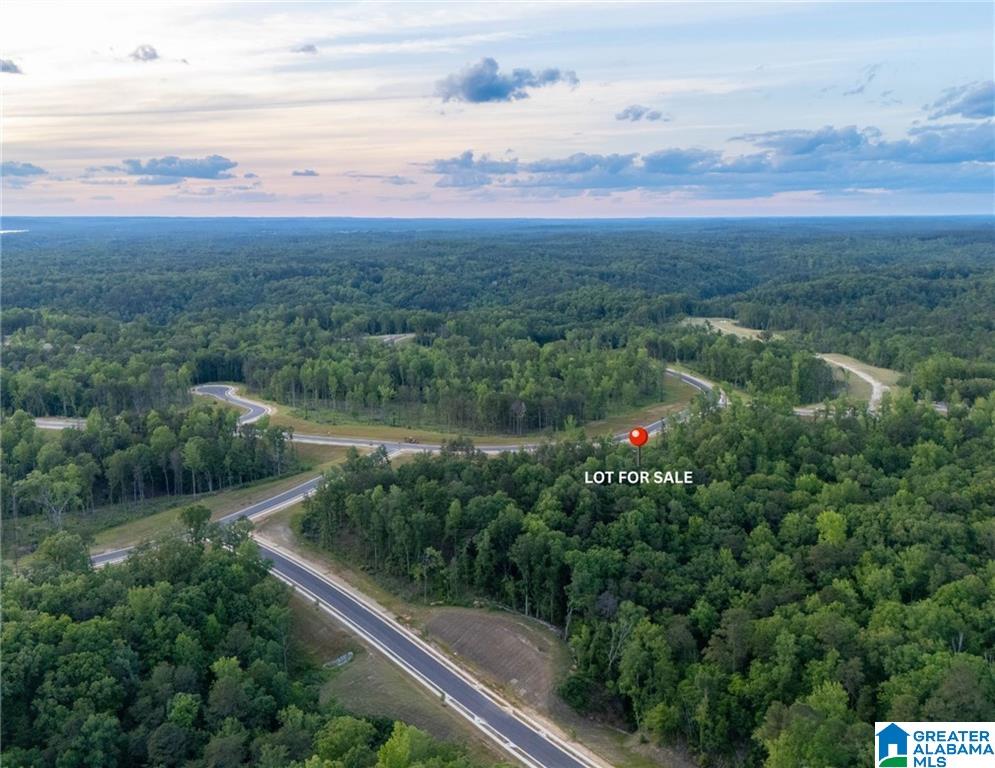 Homes for sale in Tuscaloosa, AL | 9 Lake Island Road, Tuscaloosa, AL 35406 | MLS# 21418583
