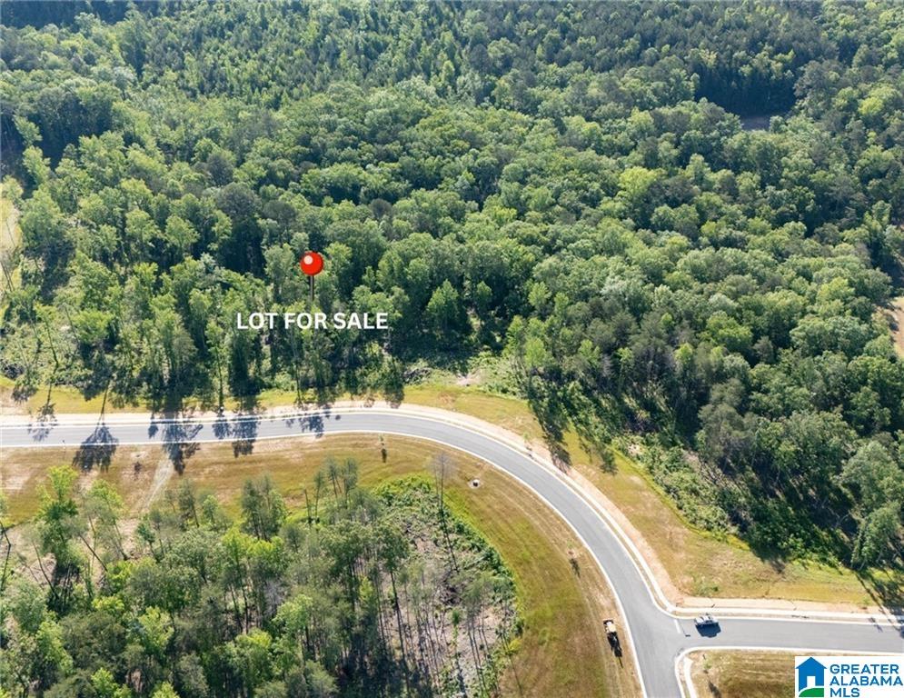 Homes for sale in Tuscaloosa, AL | 9 Lake Island Road, Tuscaloosa, AL 35406 | MLS# 21418583