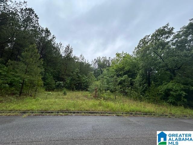 Homes for sale in Lincoln, AL | 0 Stonegate Circle, Lincoln, AL 35096 | MLS# 21418675